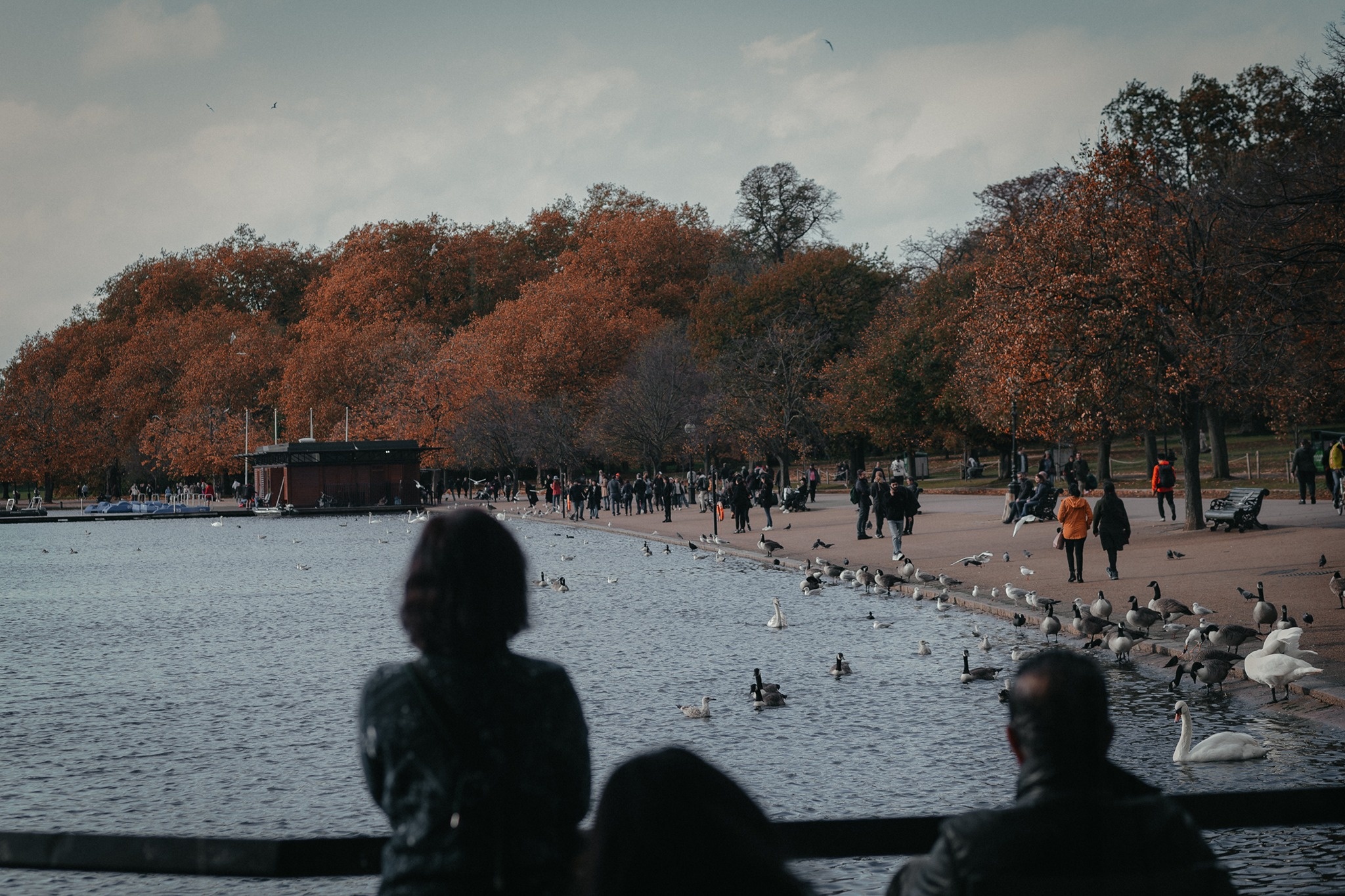 mùa thu ở châu âu ảnh 35 mua thu o chau au anh 35