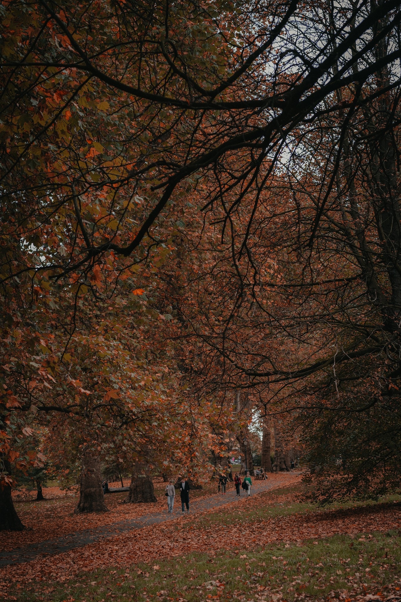 mùa thu ở châu âu ảnh 36 mua thu o chau au anh 36