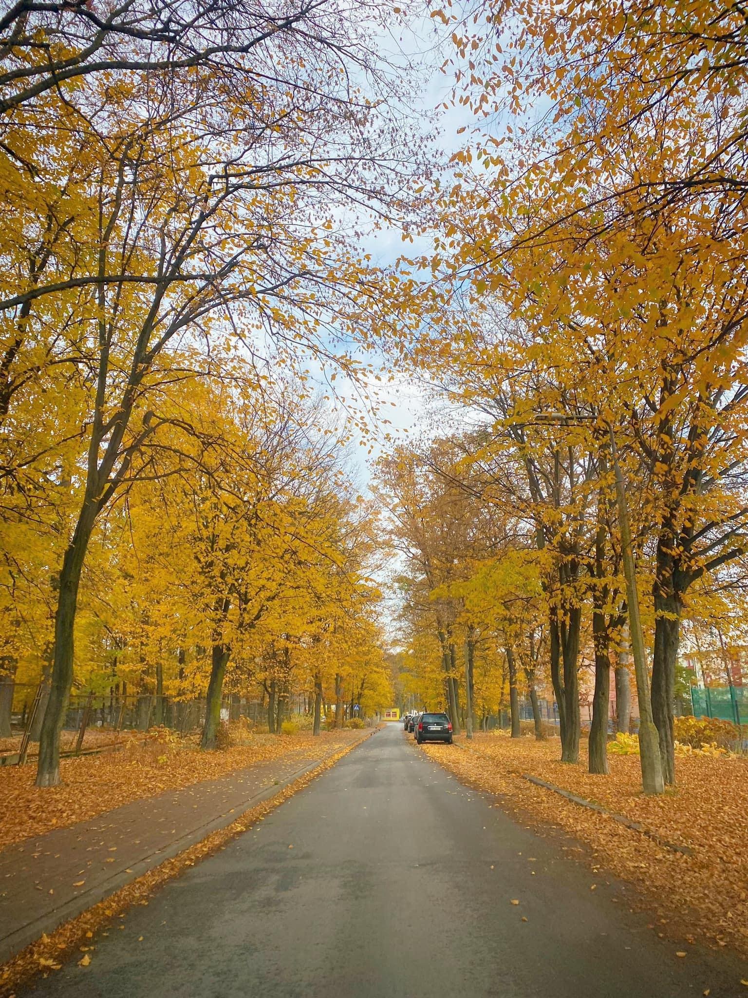 mùa thu ở châu âu ảnh 12 mua thu o chau au anh 12