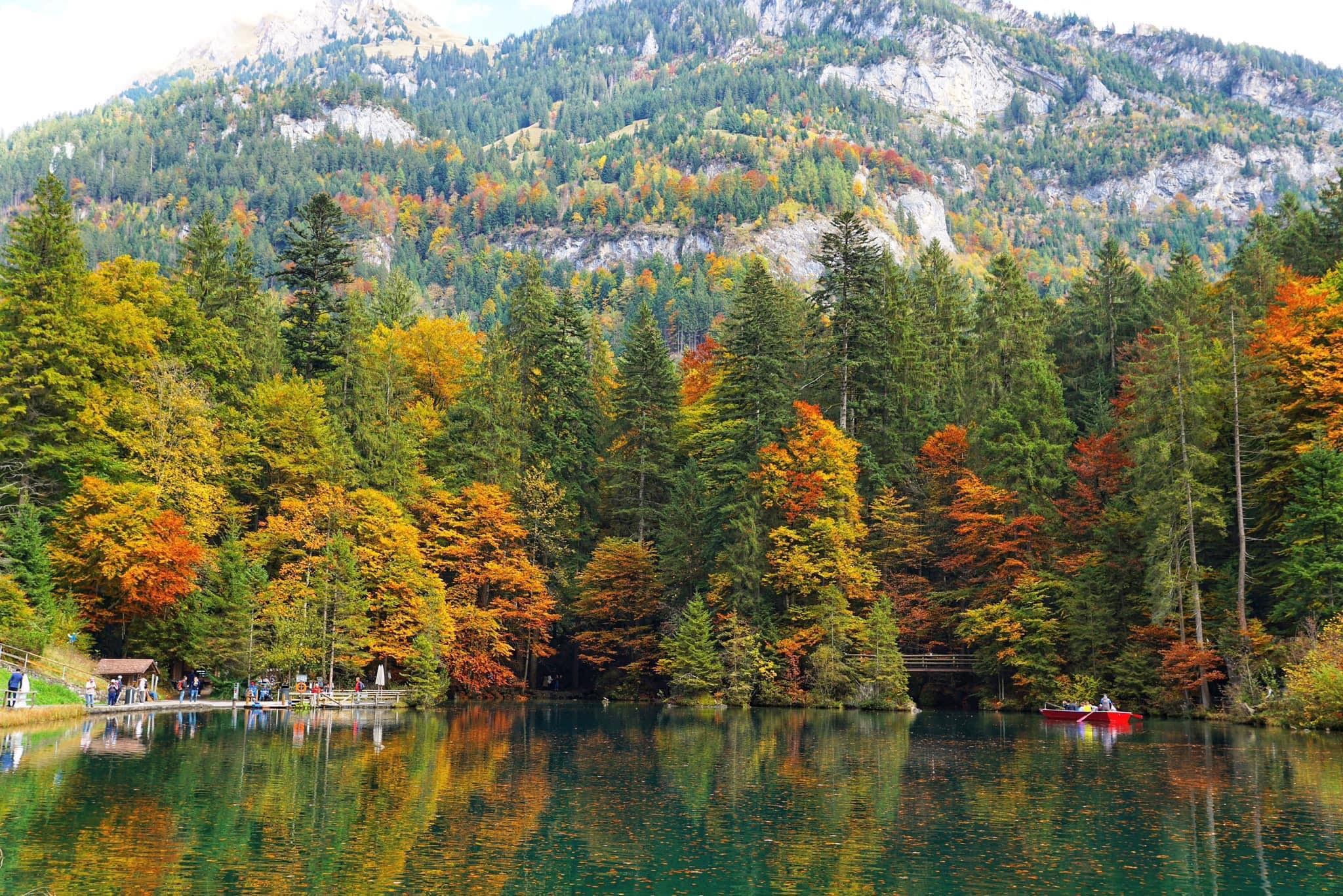 mùa thu ở châu âu ảnh 19 mua thu o chau au anh 19