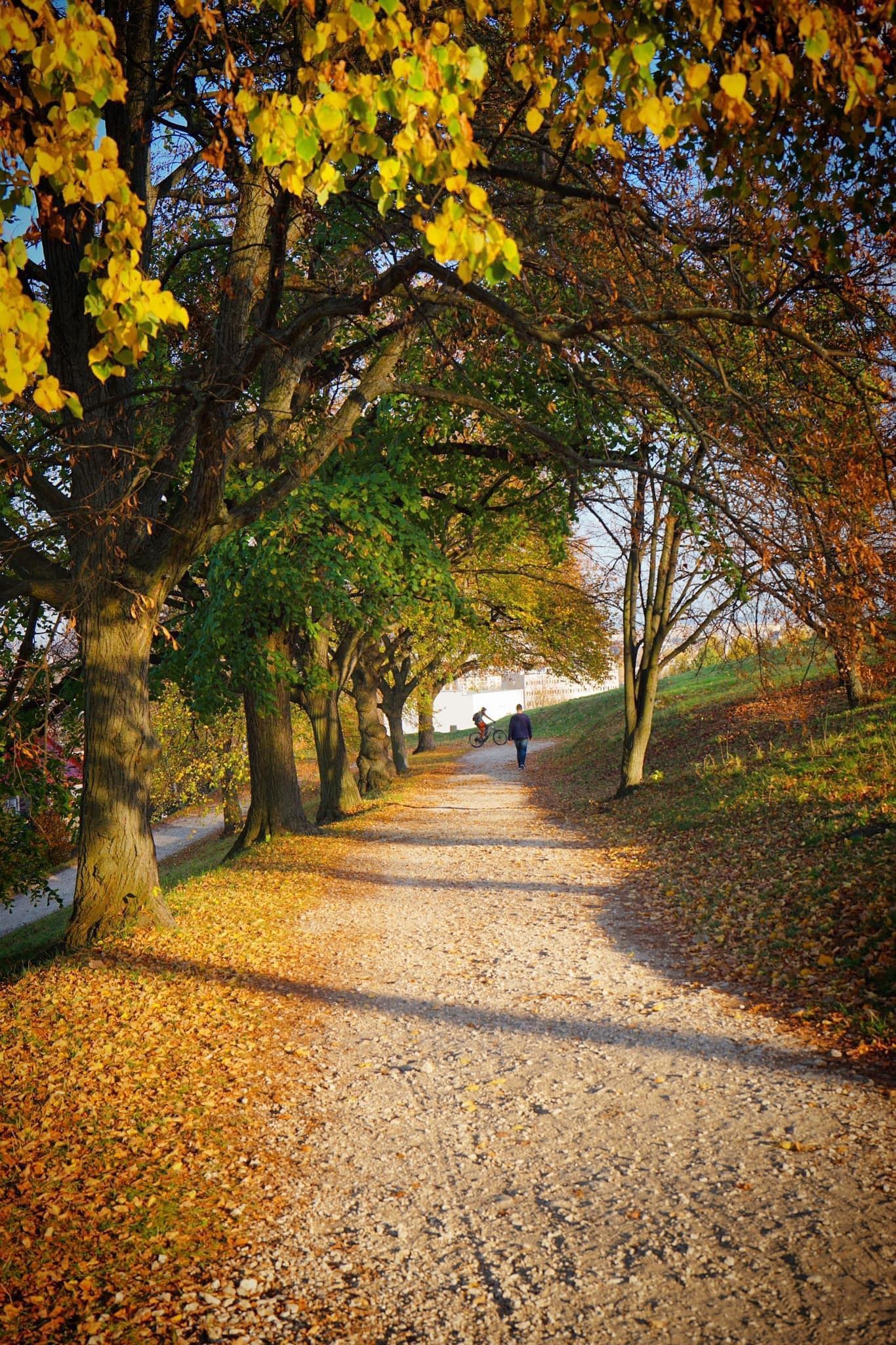 mùa thu ở châu âu ảnh 15 mua thu o chau au anh 15