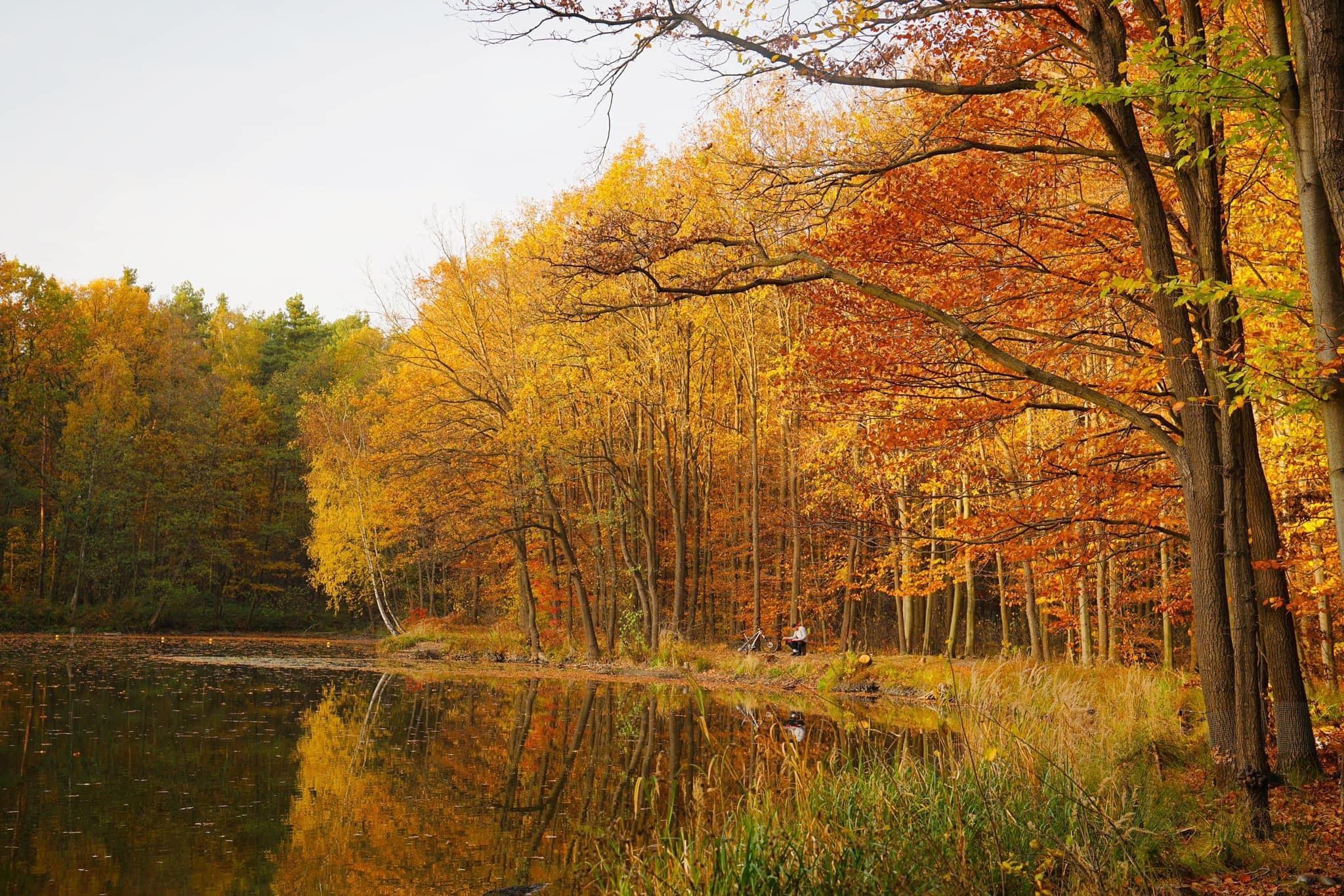 mùa thu ở châu âu ảnh 13 mua thu o chau au anh 13