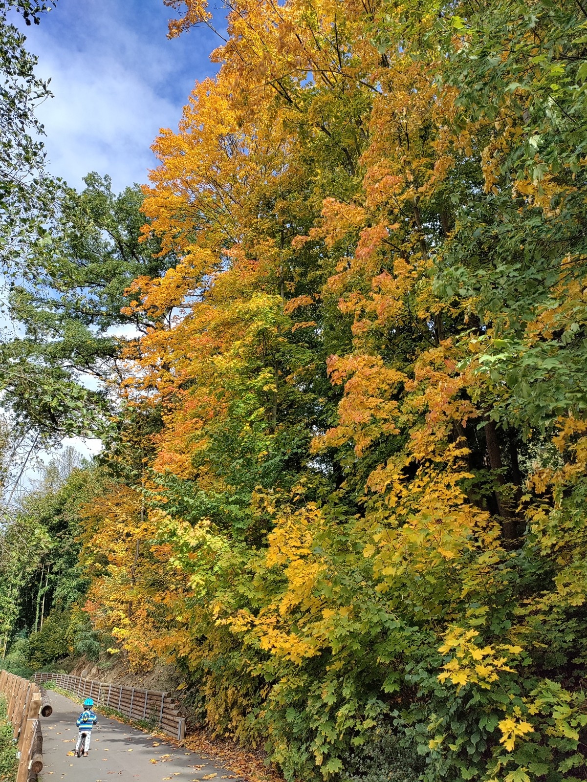 mùa thu ở châu âu ảnh 24 mua thu o chau au anh 24