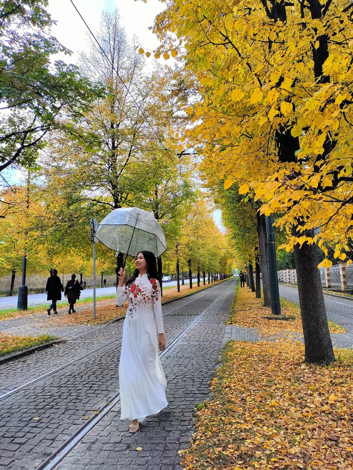 mùa thu ở châu âu ảnh 25 mua thu o chau au anh 25