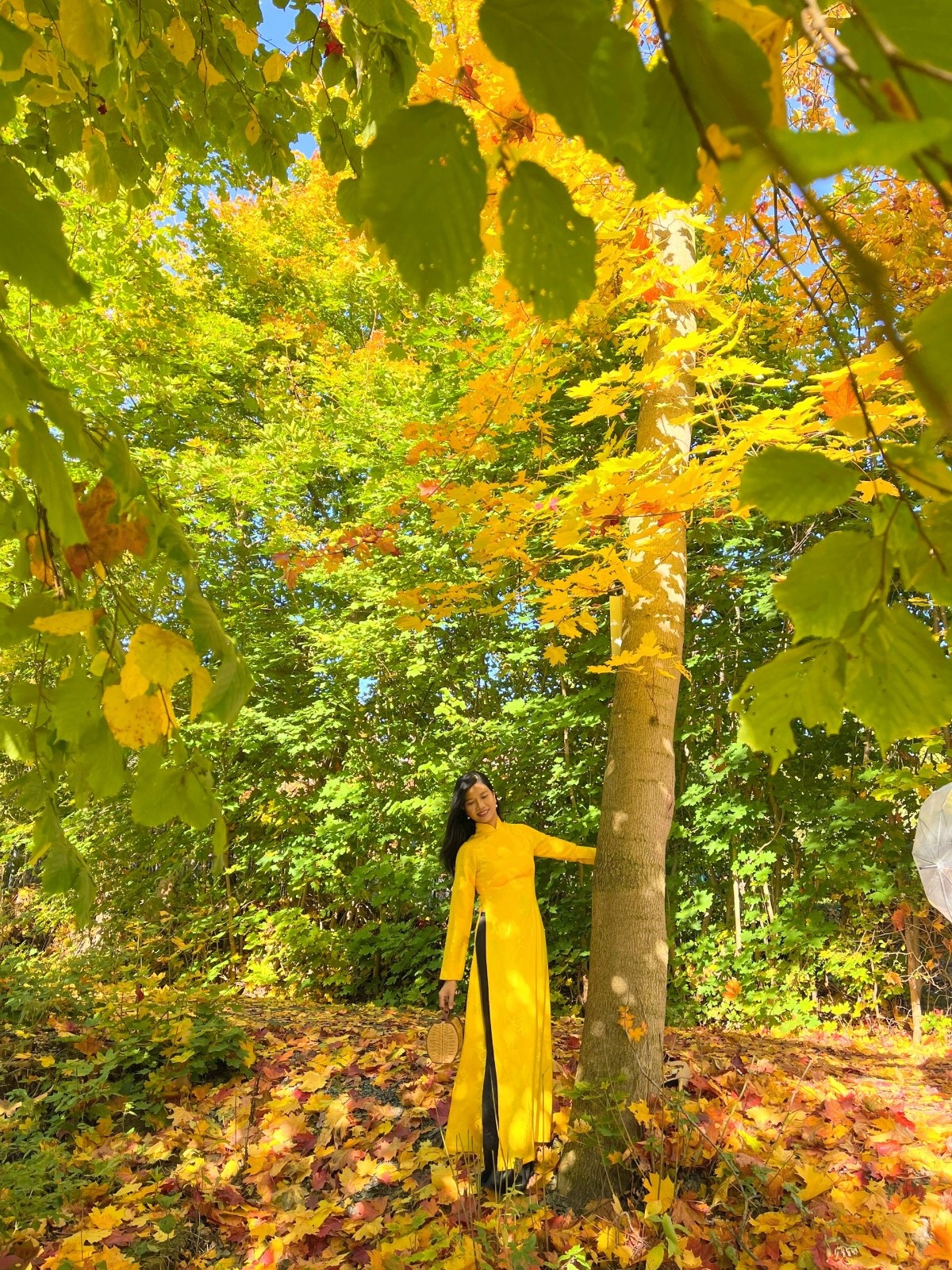 mùa thu ở châu âu ảnh 26 mua thu o chau au anh 26