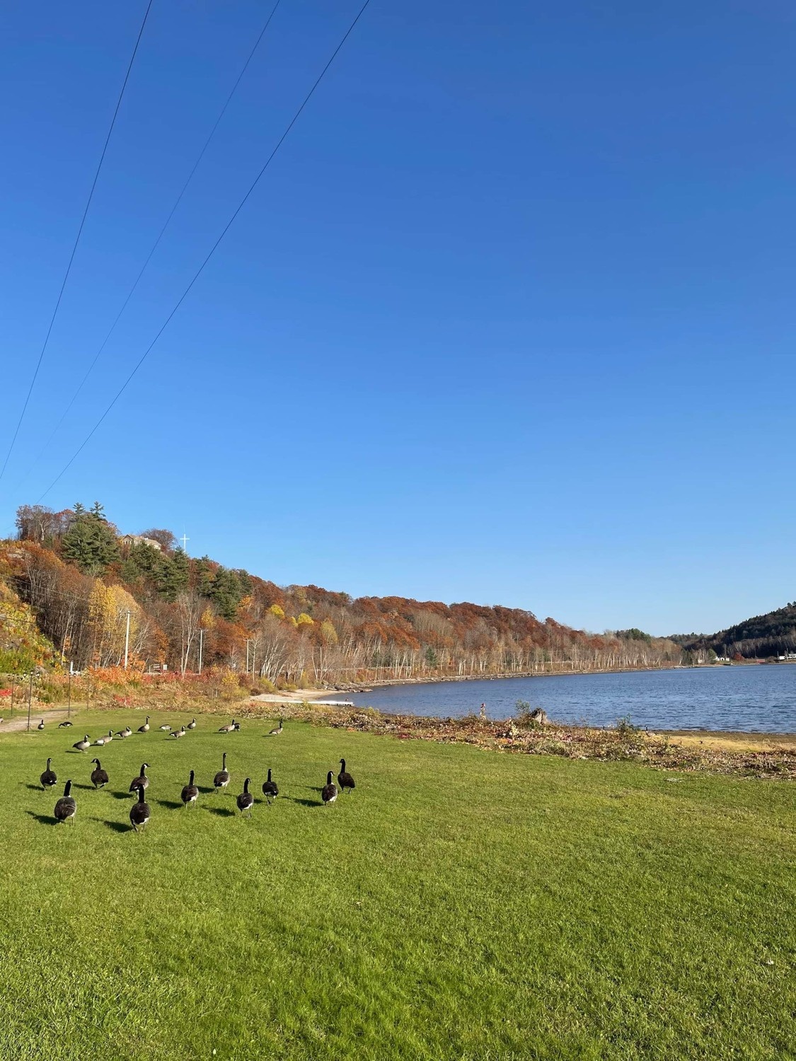 mùa thu ở châu âu ảnh 9 mua thu o chau au anh 9