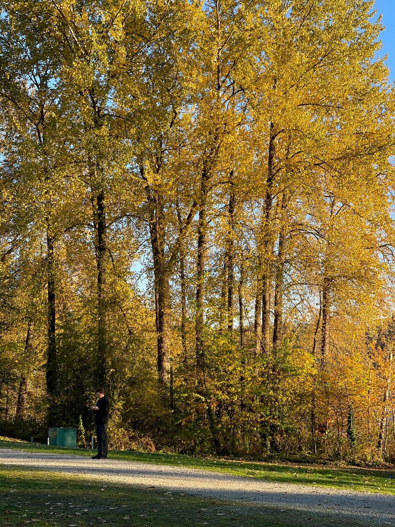 mùa thu ở châu âu ảnh 5 mua thu o chau au anh 5