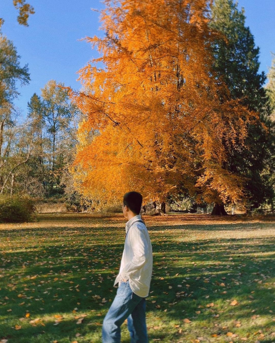 mùa thu ở châu âu ảnh 3 mua thu o chau au anh 3