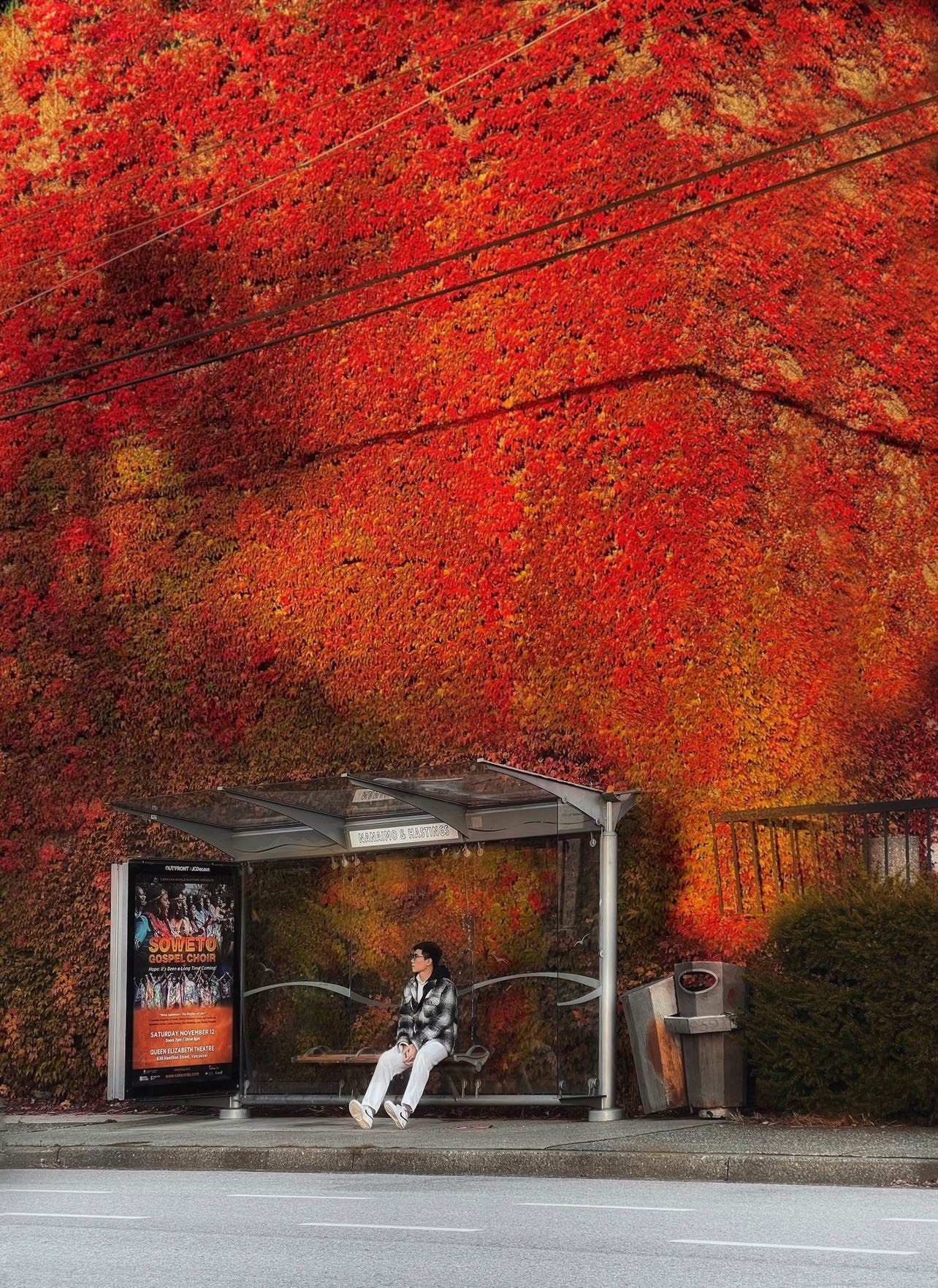 mùa thu ở châu âu ảnh 4 mua thu o chau au anh 4