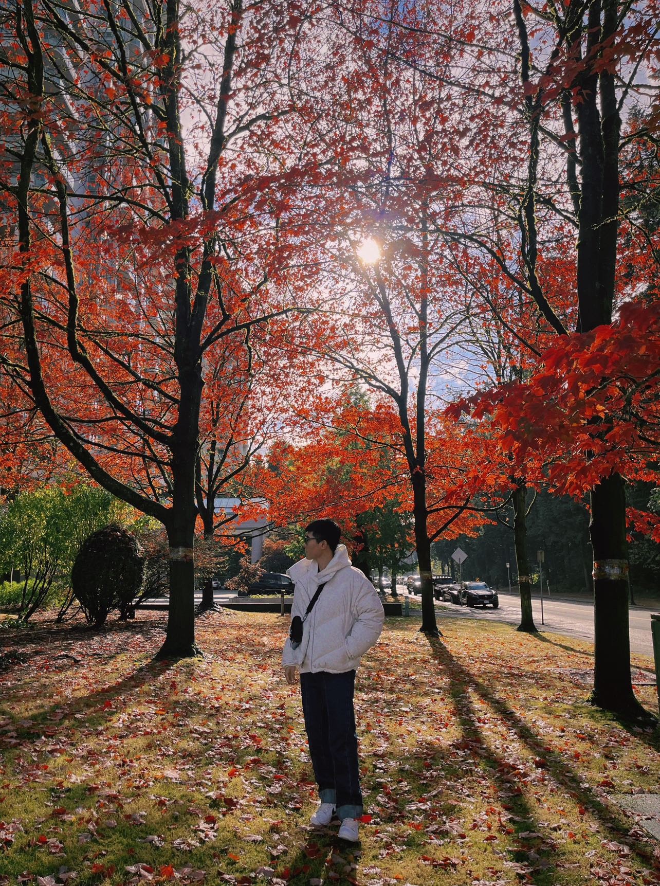 mùa thu ở châu âu ảnh 6 mua thu o chau au anh 6