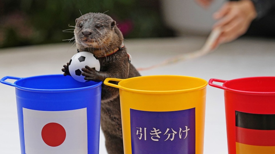 Rai ca 'tien tri' dung chien thang gay soc cua Nhat Ban tai World Cup hinh anh