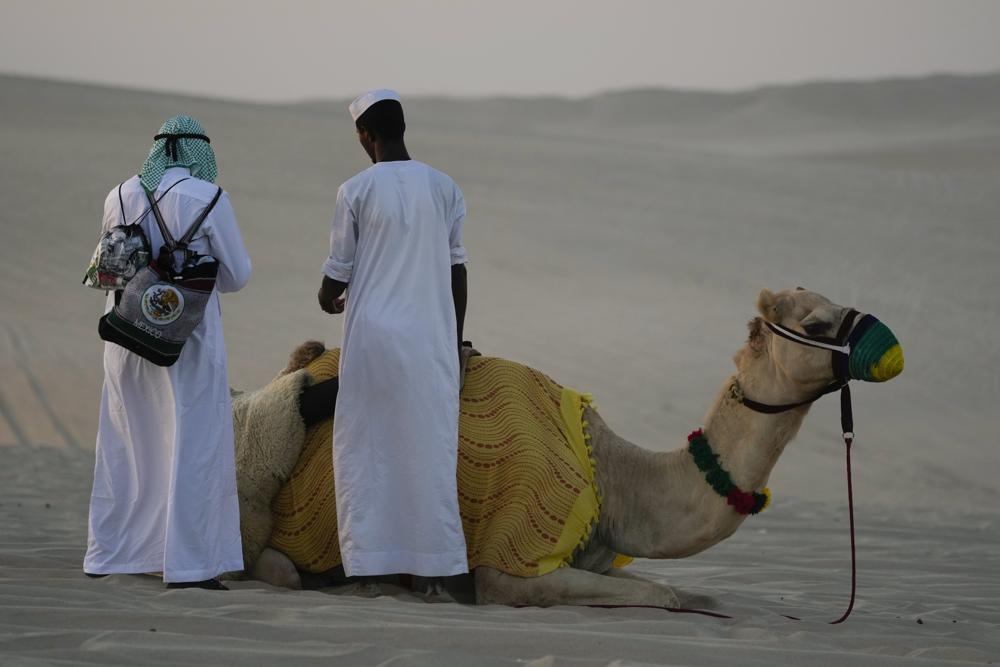 world cup qatar 2022 anh 8