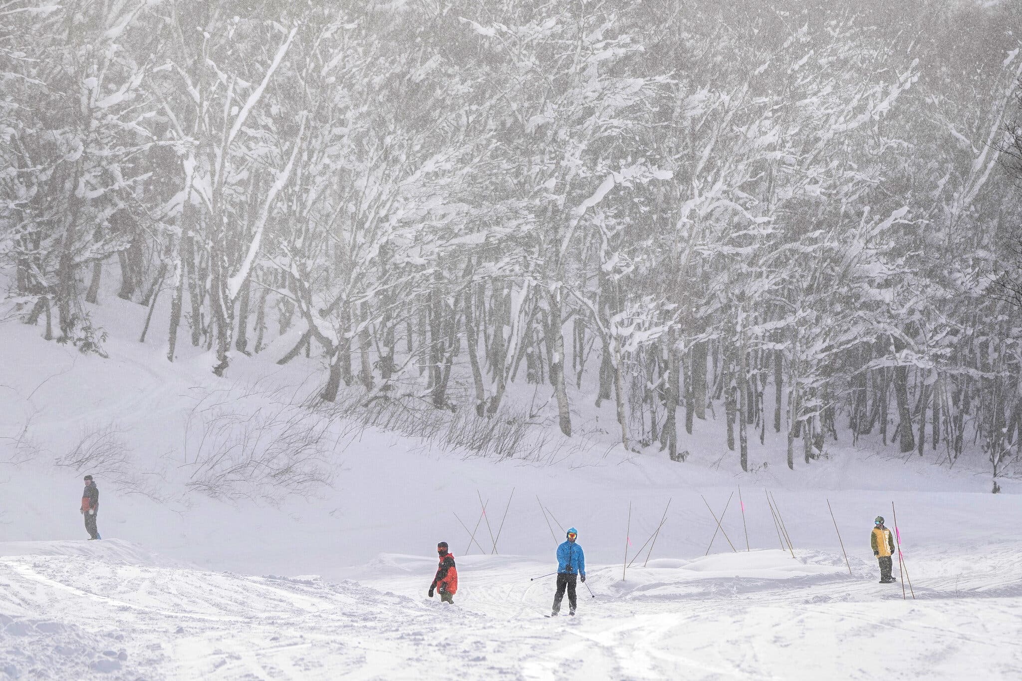 nhat ban mo du lich anh 8