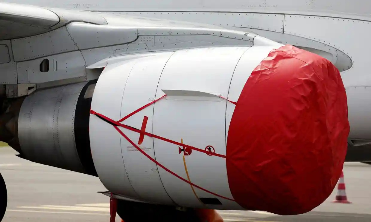 Nhan vien san bay My tu nan vi bi hut vao dong co may bay hinh anh