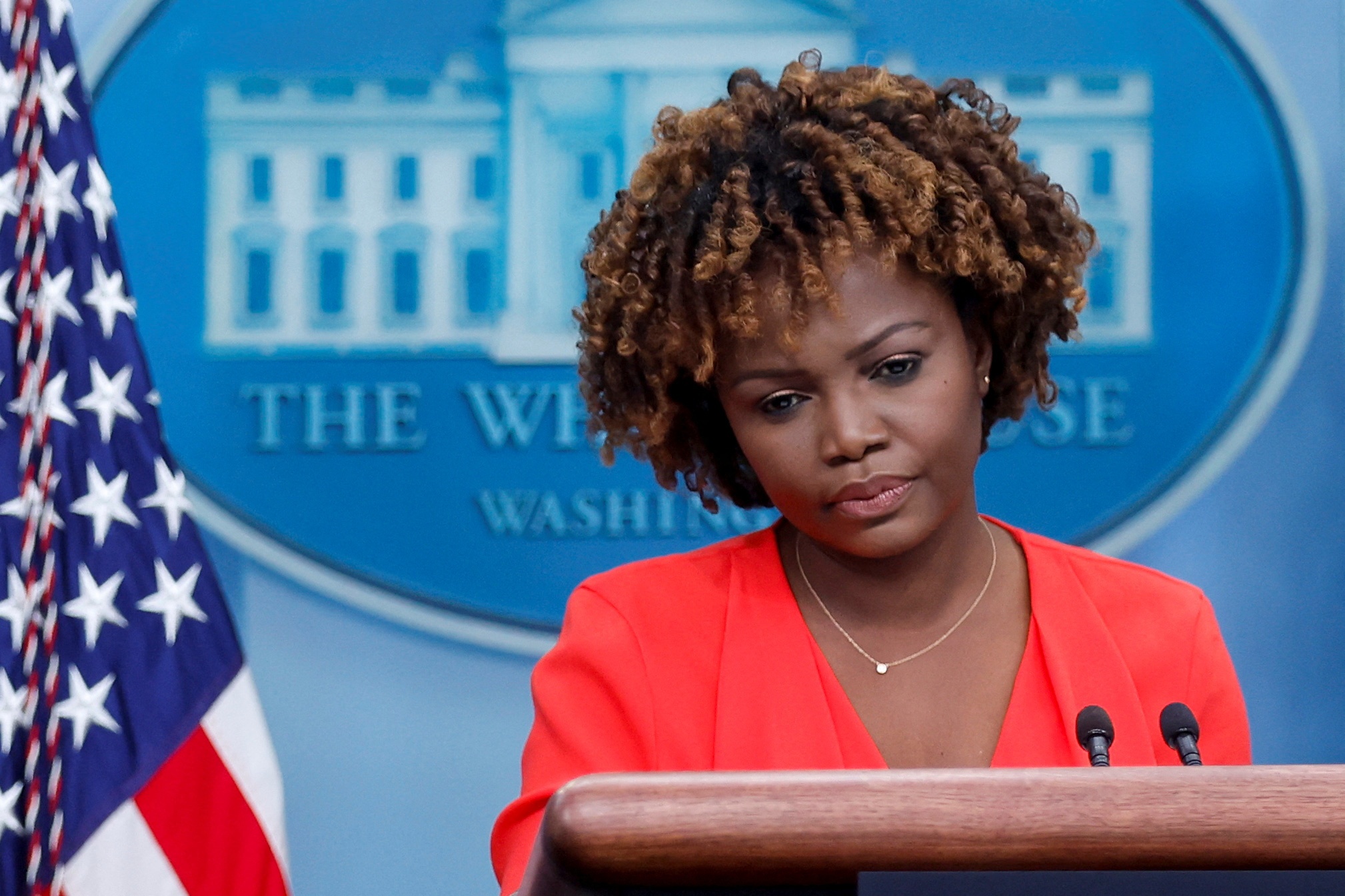 phat hien tai lieu mat anh 3