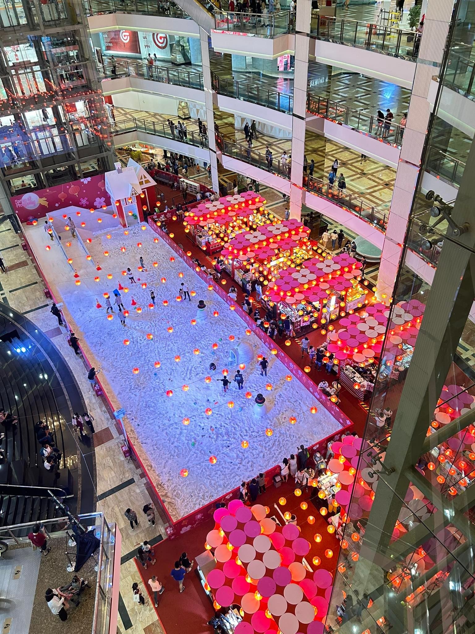 tet quy mao 2023 anh 16