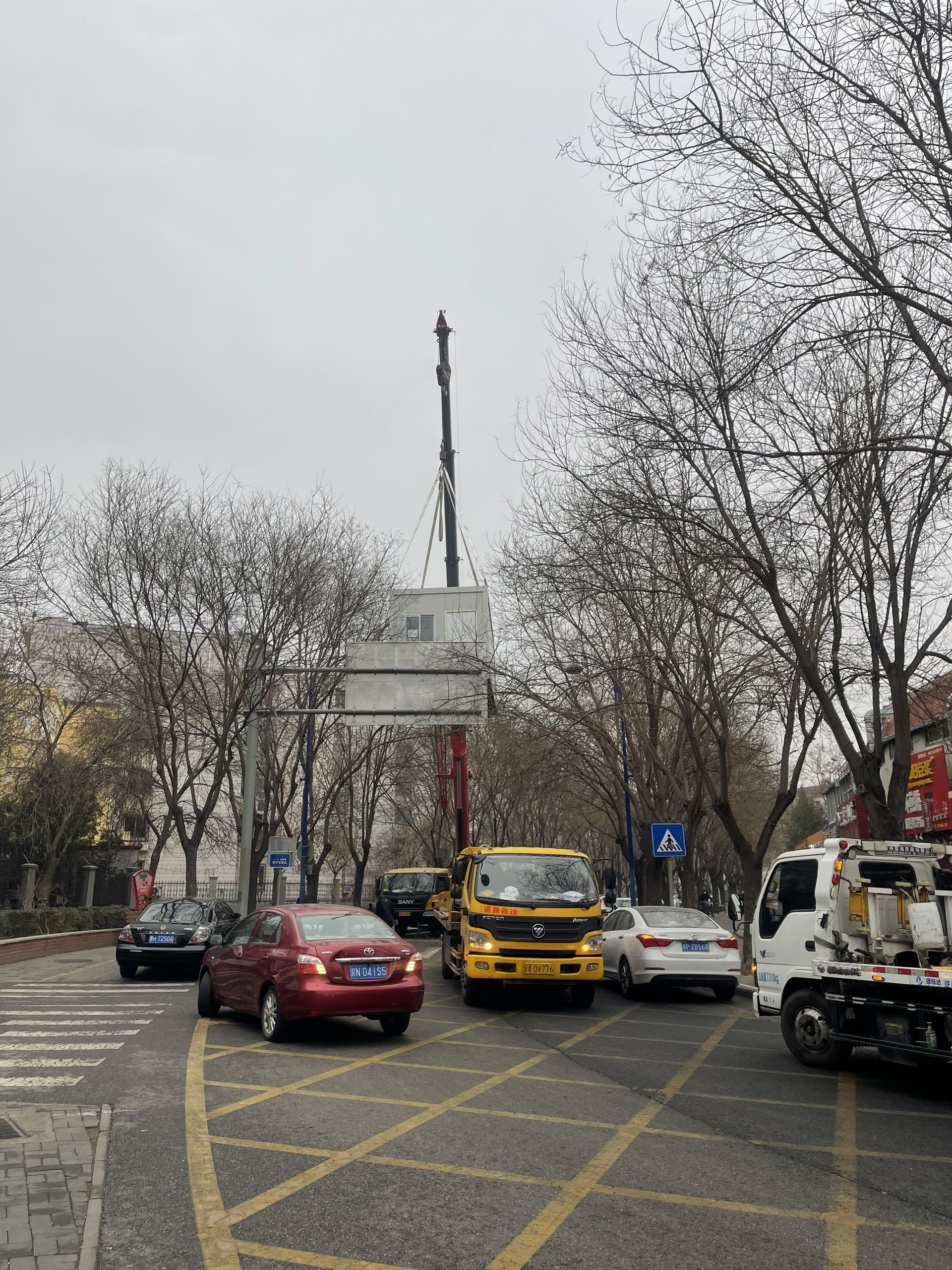 tet quy mao 2023 anh 8