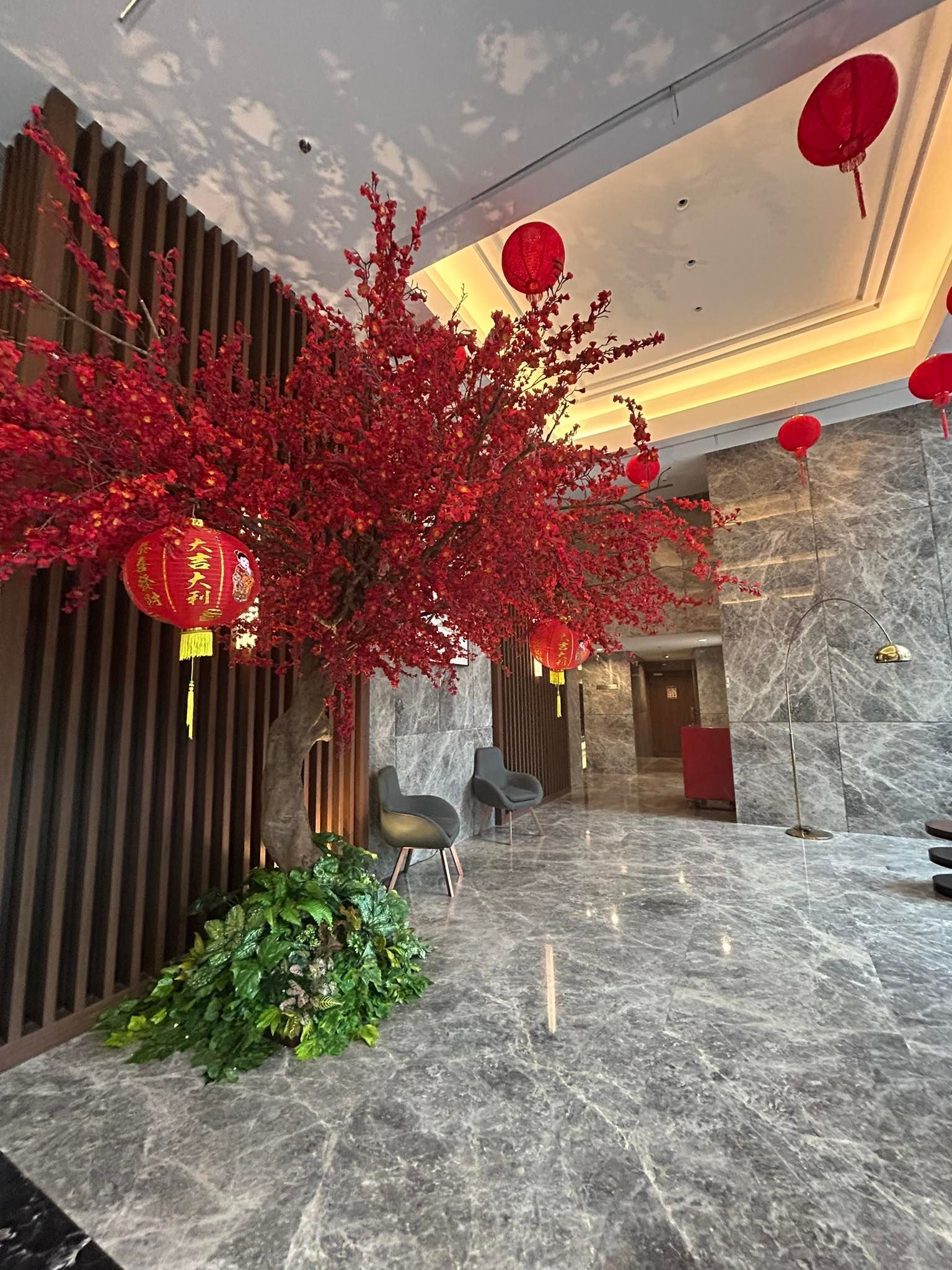 tet quy mao 2023 anh 13