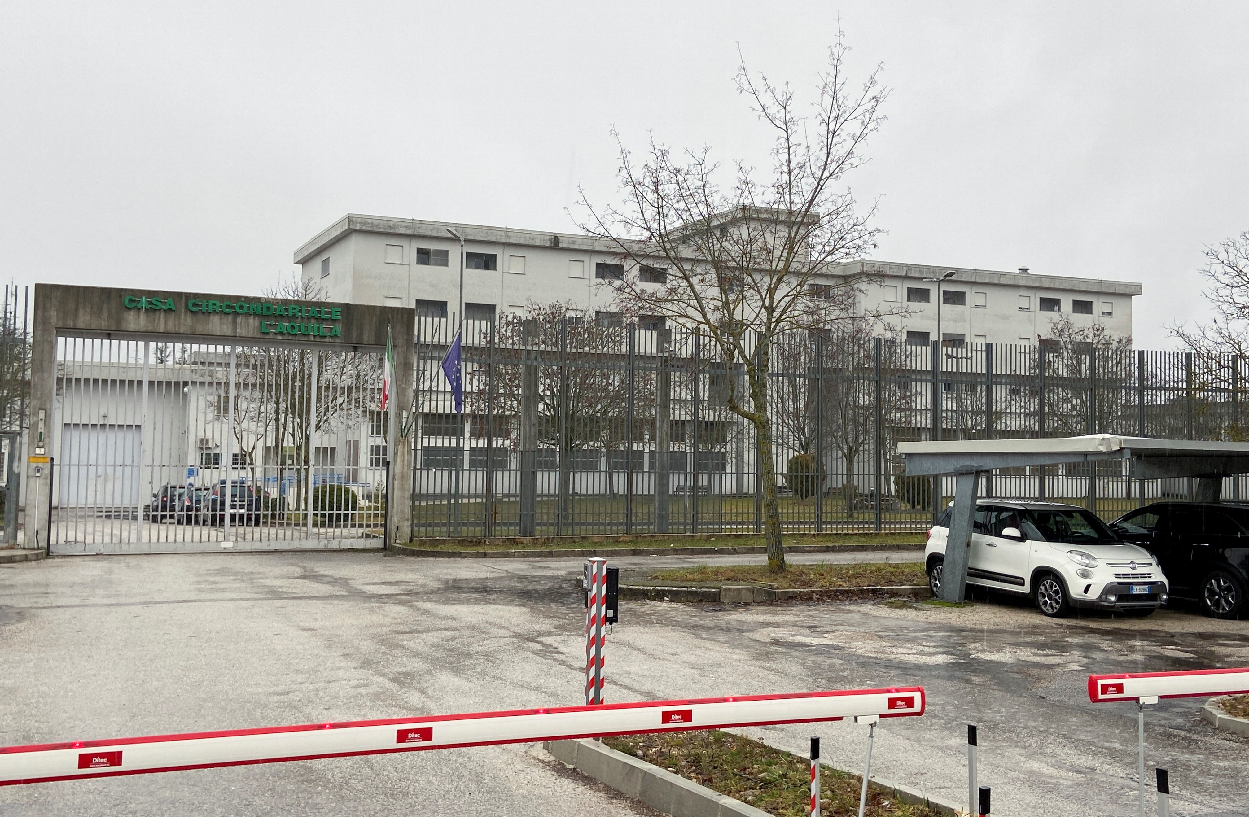 trum mafia bi bat anh 2