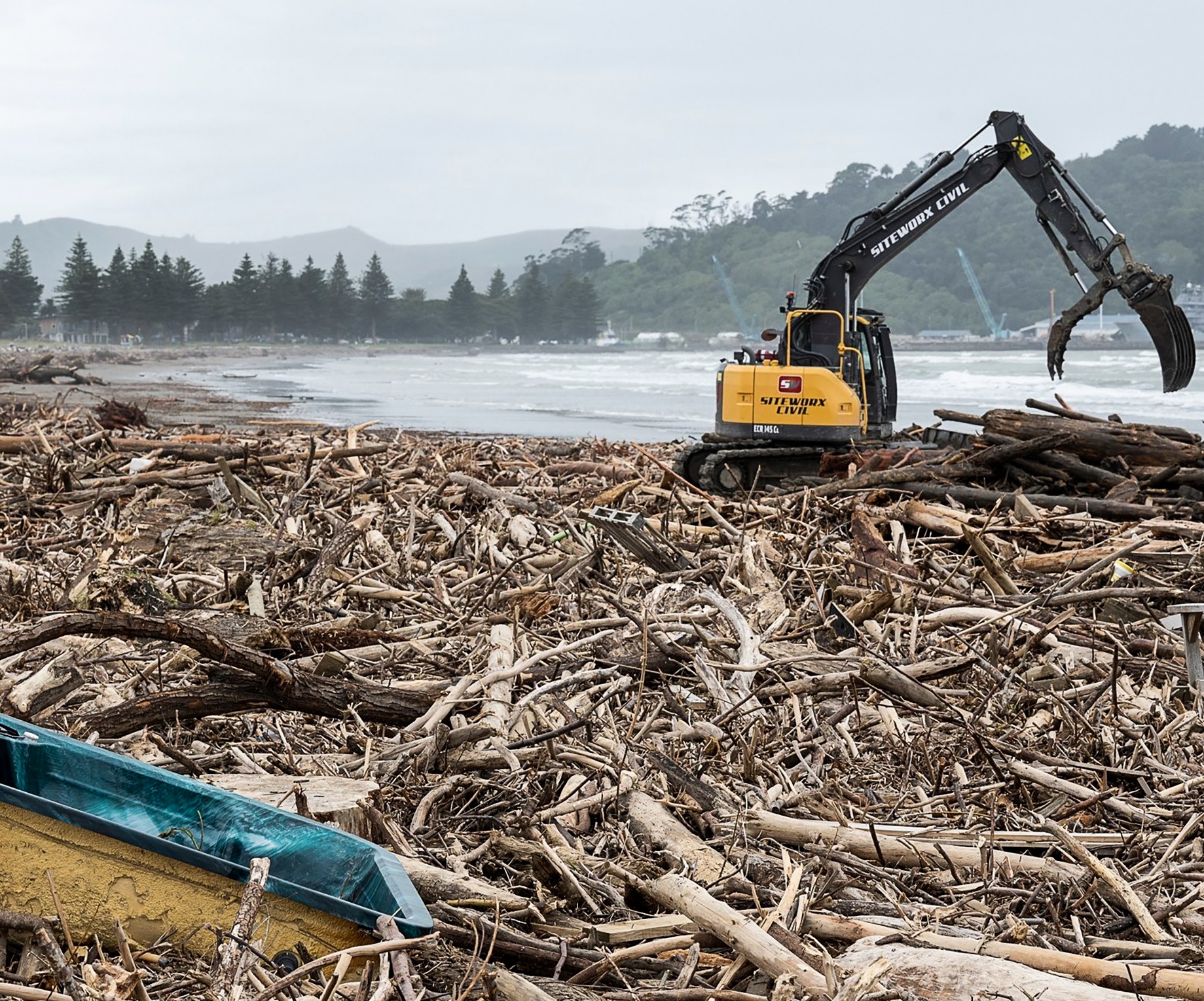 bao o new zealand anh 1