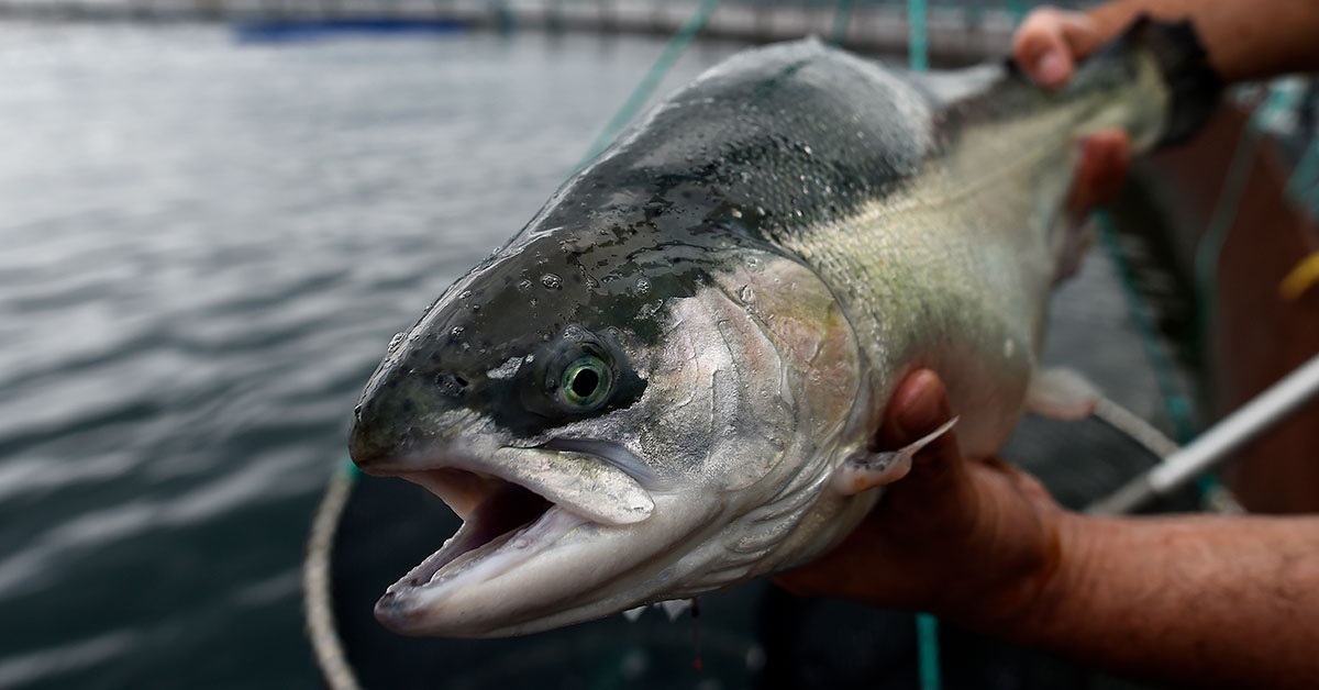 Dieu cap thiet khi dan so the gioi cham moc 8 ty nguoi hinh anh