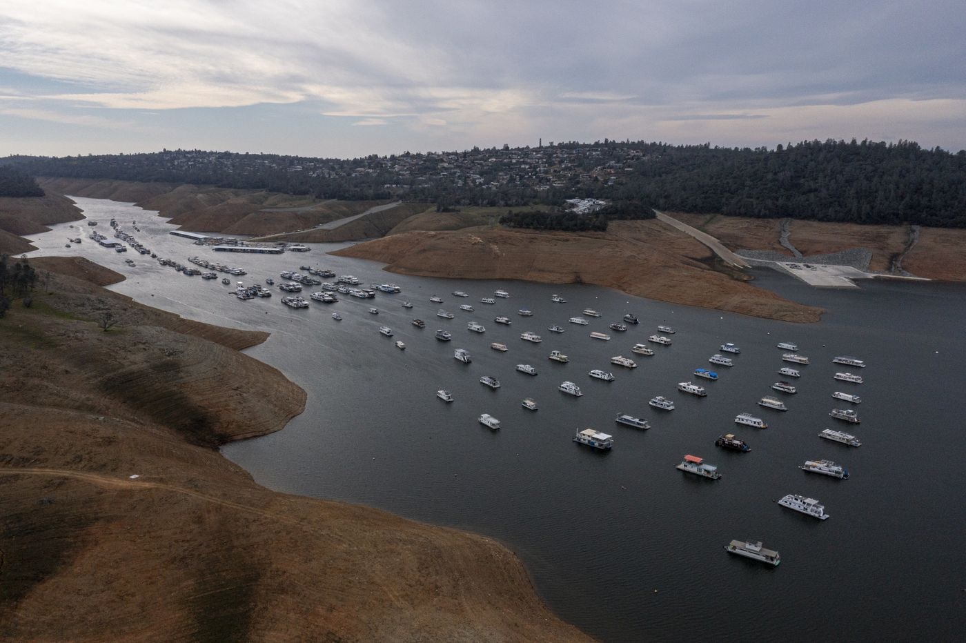 han han o california anh 1