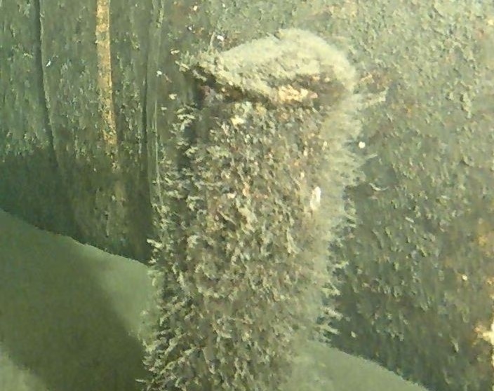 Dan Mach moi Nord Stream ho tro truc vot vat the la o bien Baltic hinh anh