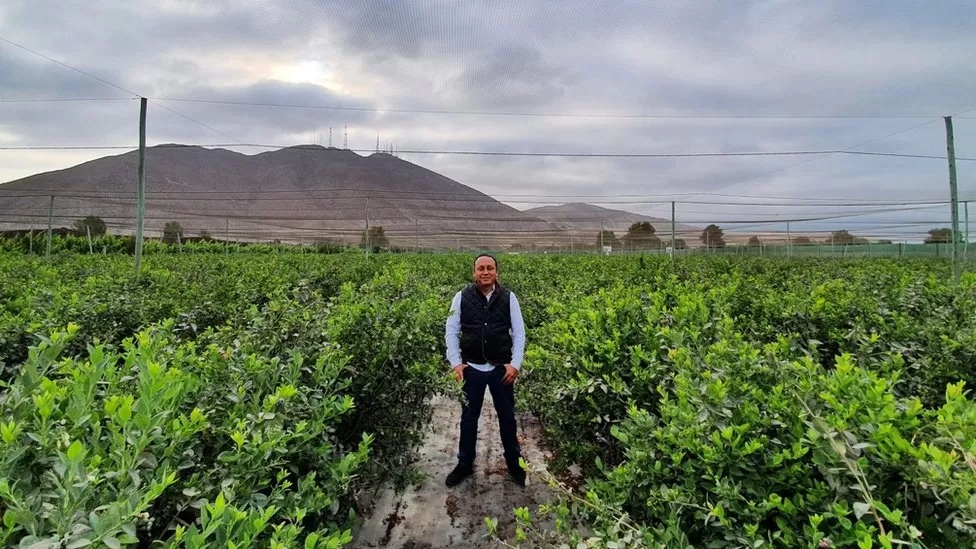 xuat khau viet quat anh 2