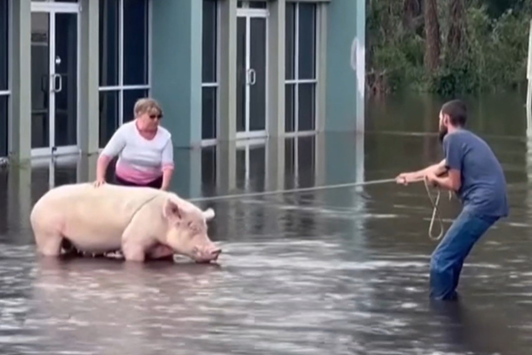 Khoanh khac giai cuu gay sung sot trong bao Milton hinh anh