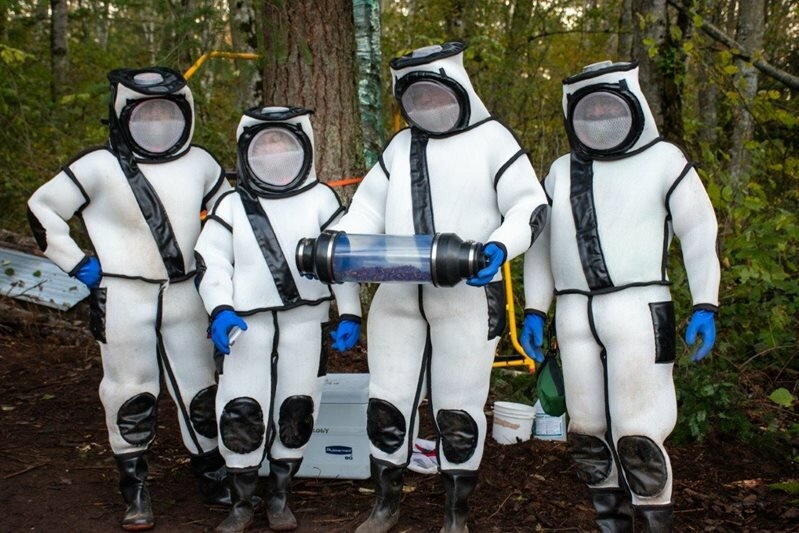 My tuyen bo xoa so thanh cong ‘ong bap cay sat thu’ hinh anh