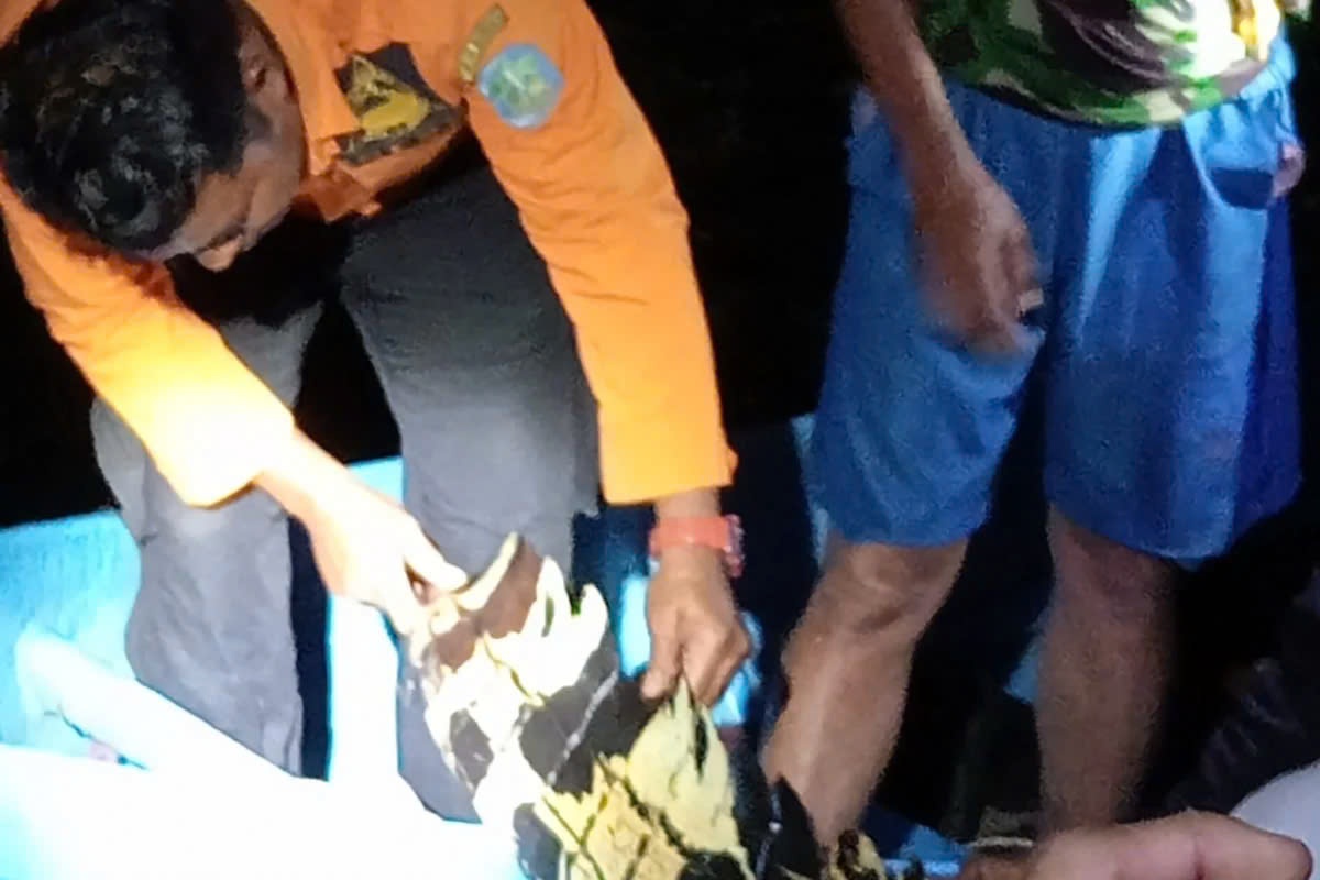 Phat hien thi the be gai 5 tuoi bi ca sau tan cong o Indonesia hinh anh