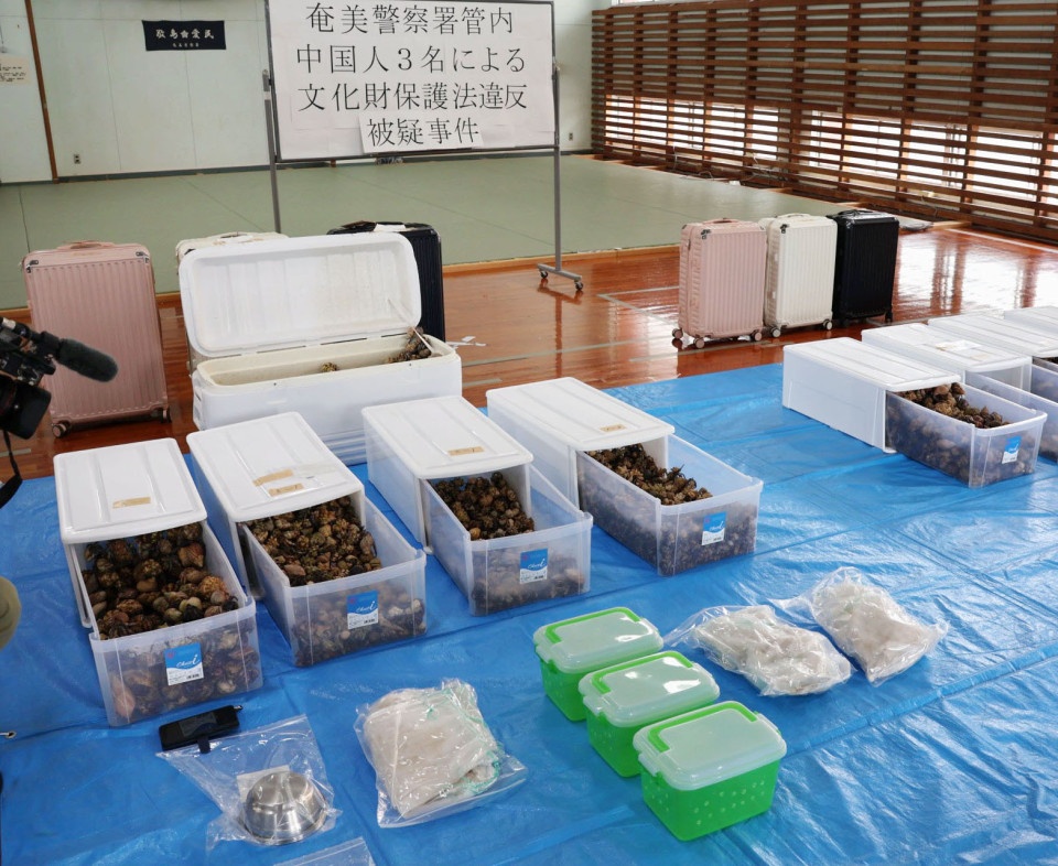 3 nguoi Trung Quoc bi bat vi nhet day hang nghin oc muon hon vao vali hinh anh