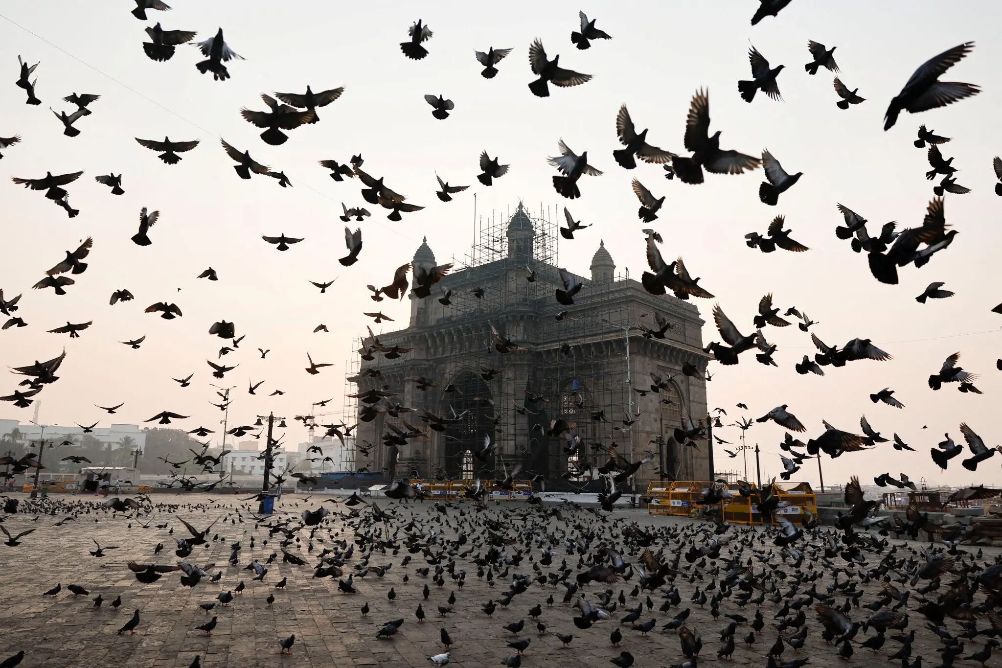 An Do nao loan vi cuoc chien quanh dan bo cau hinh anh