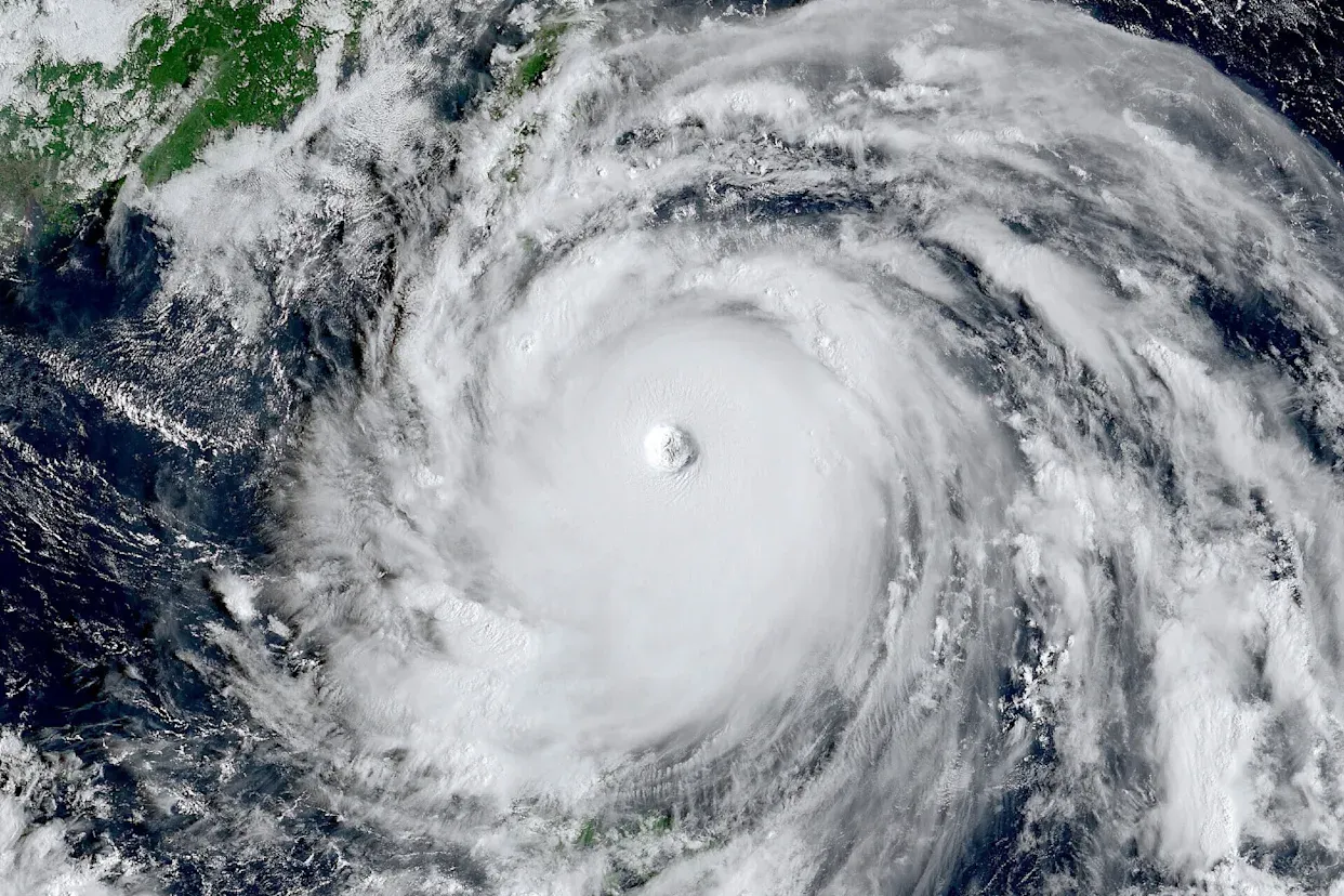 Philippines du bao co them 9 con bao trong nam 2025 hinh anh