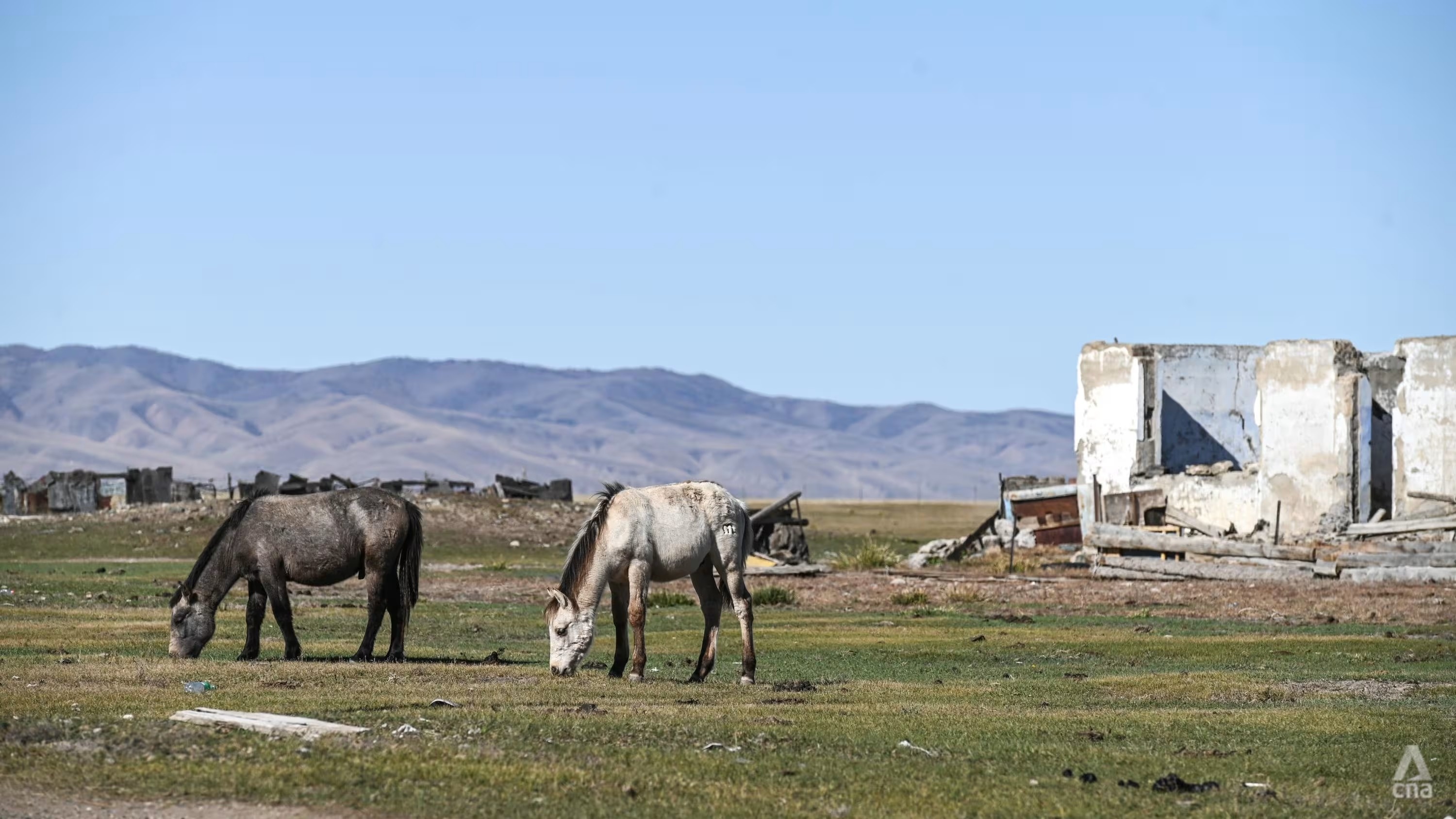 Vi sao nhieu nuoc chau A chuyen thu do? hinh anh