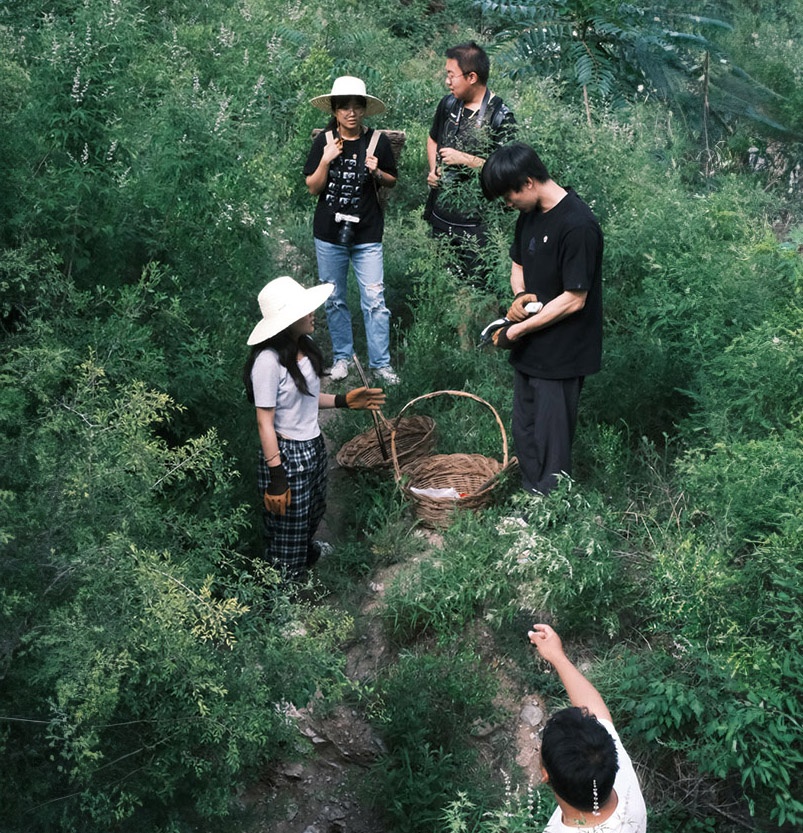 vien duong lao anh 3