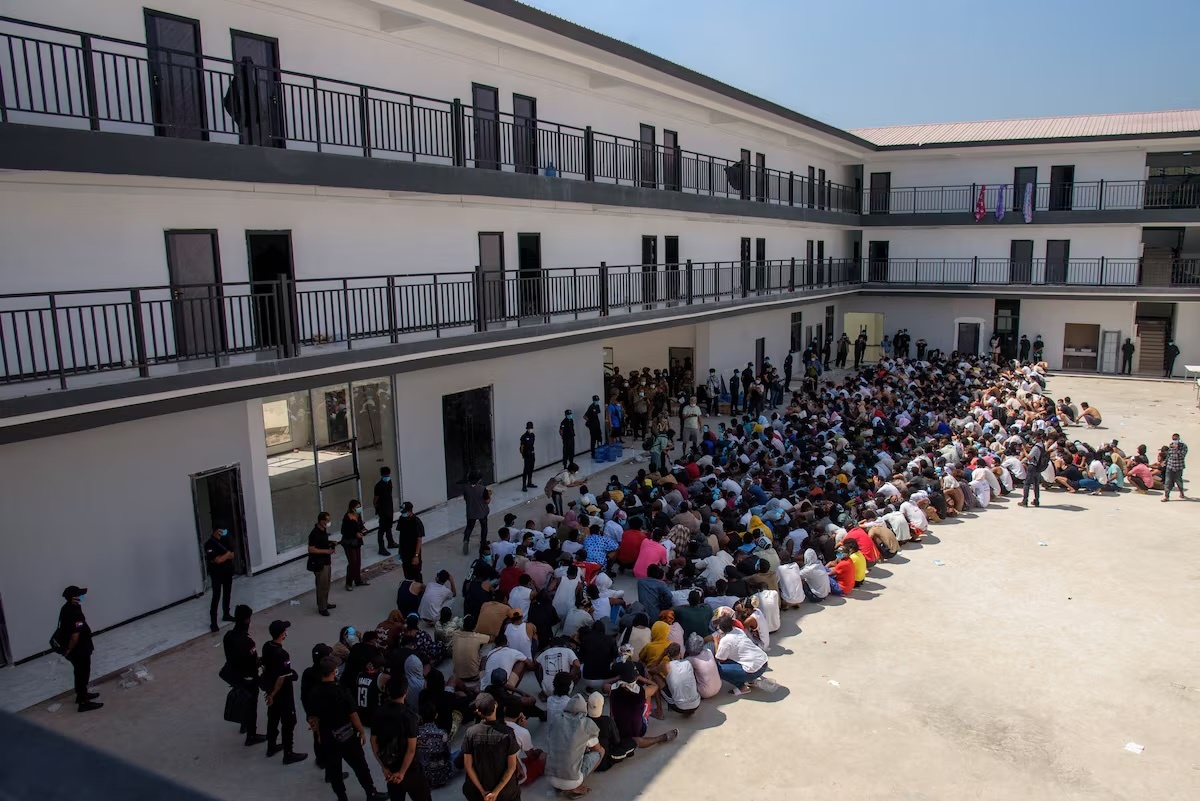 Nganh cong nghiep lua dao lai 'sang den' hinh anh