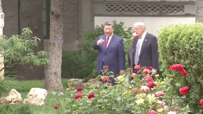 Ong Trump va ong Tap dao vuon hong hinh anh