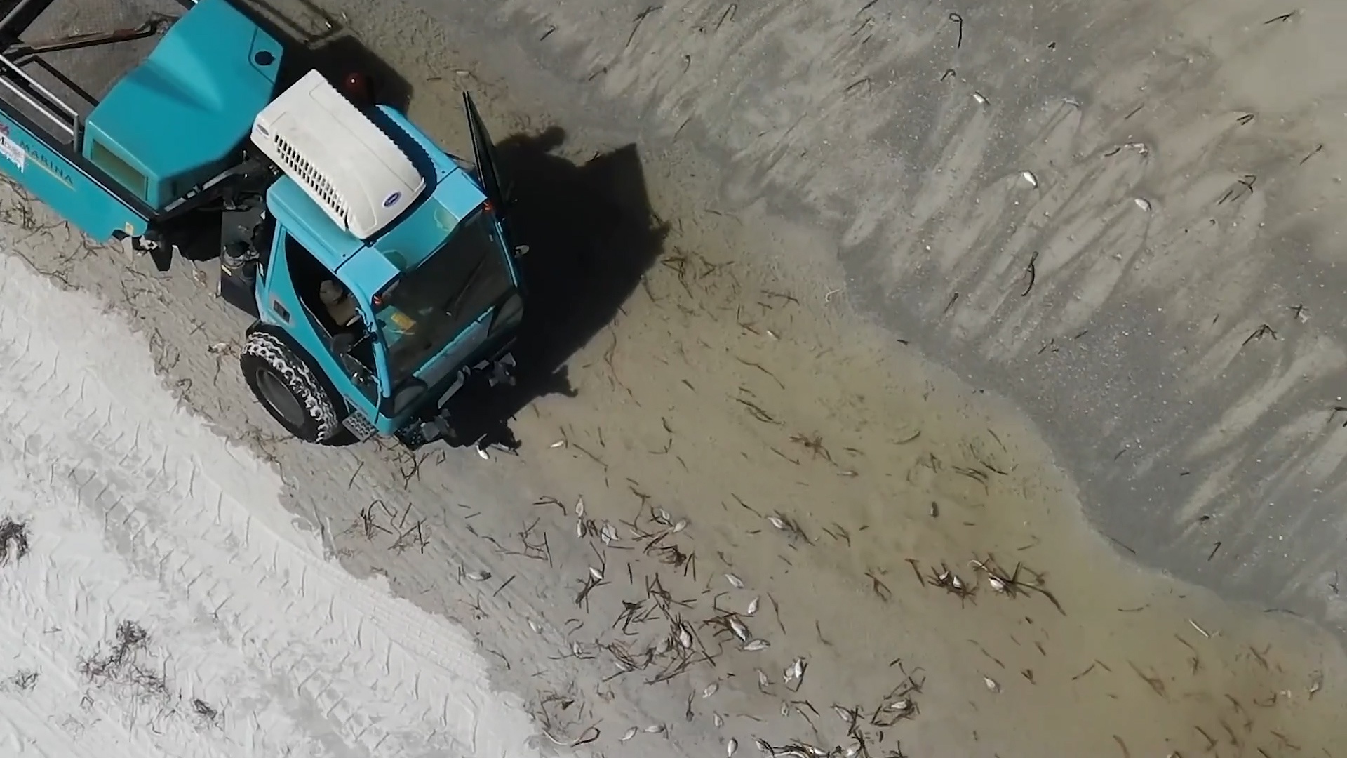 600 tan ca chet chat thanh dong tren cac bai bien o My hinh anh