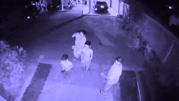 Voi hoang da lao thang vao nha, nguoi dan hoang so bo chay hinh anh