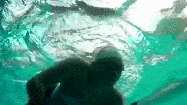 VDV khuyet tat tay chan quyet gianh huy chuong vang boi loi hinh anh