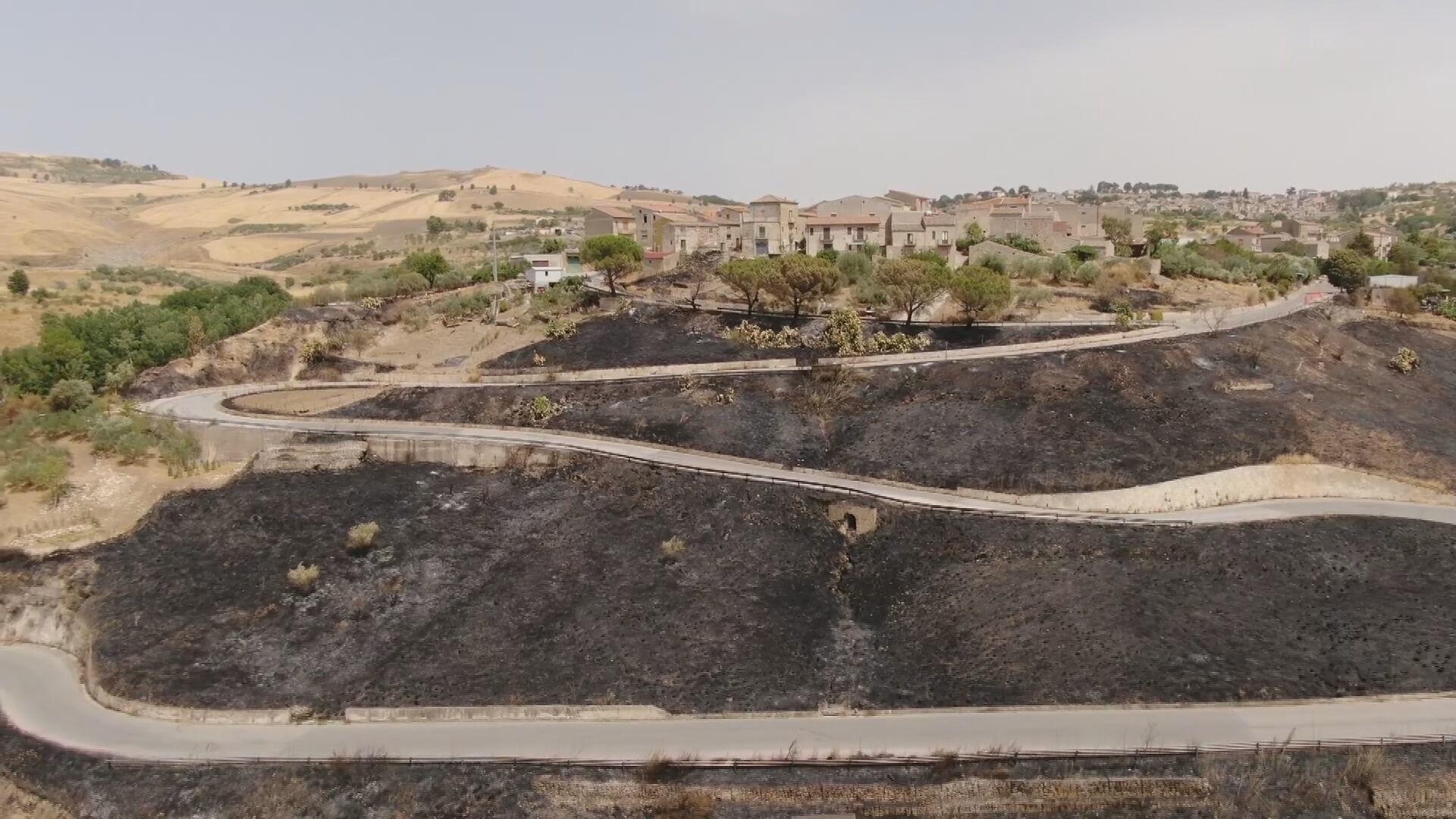 Khung canh hoang tan sau tran chay rung o Italy hinh anh