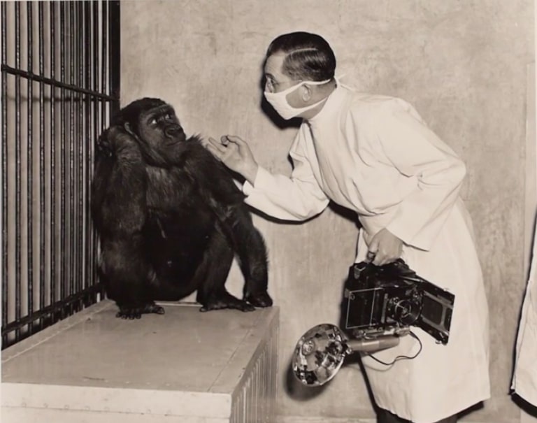 Can ham bi mat cua nha Bill Gates hinh anh