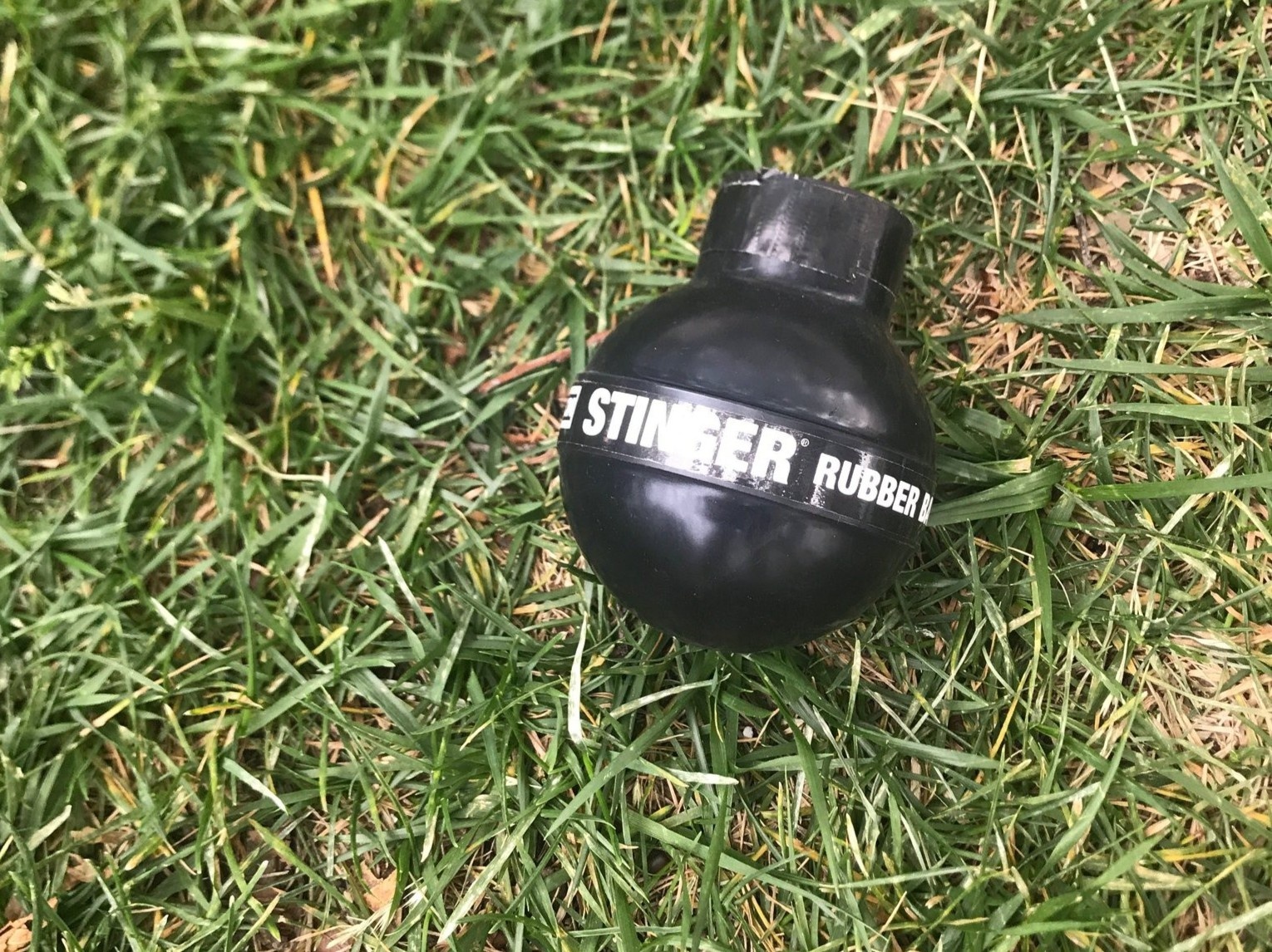 Phat hien con gai choi luu dan nhat duoc tu bieu tinh o My hinh anh