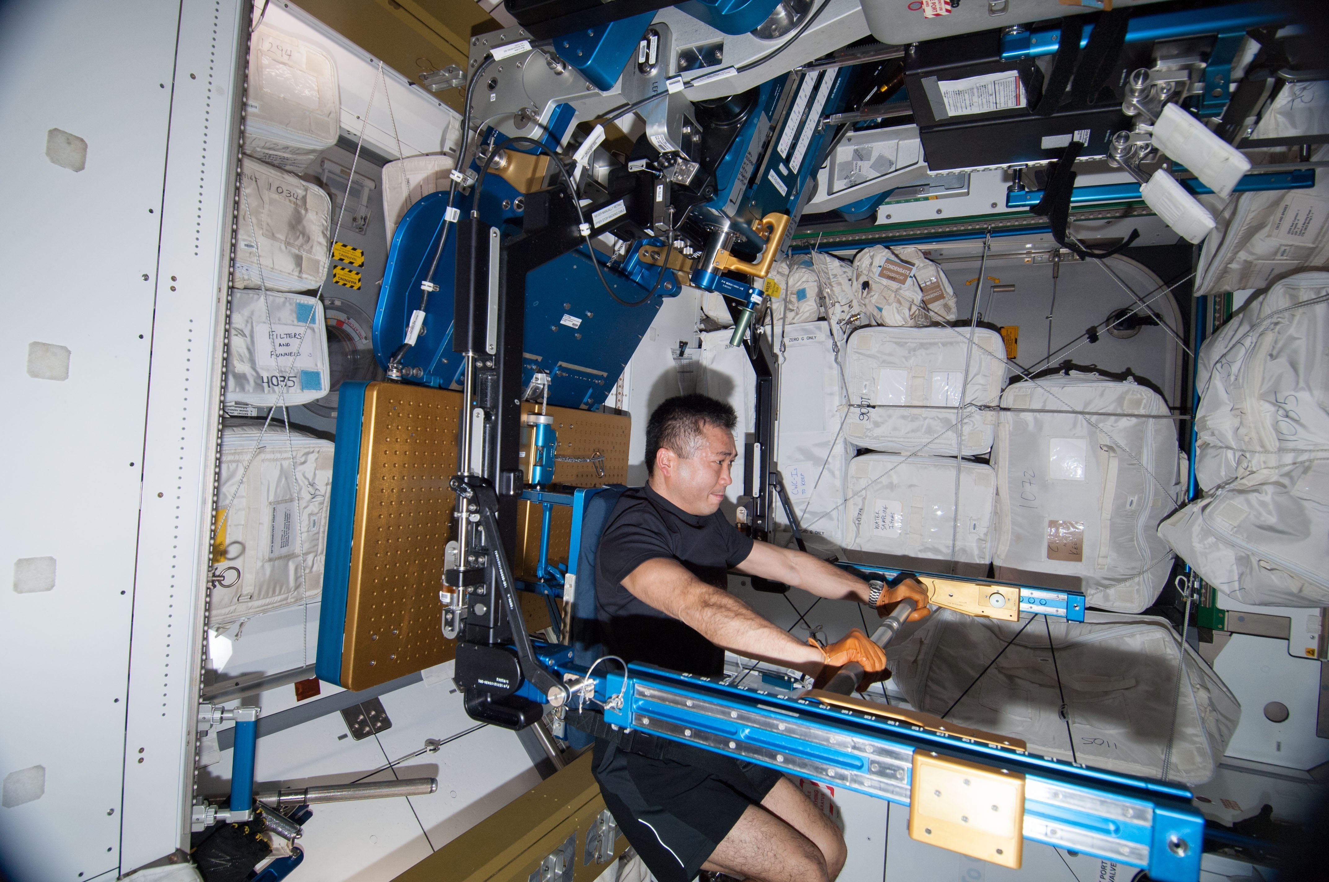 phi hanh gia tap the duc ngoai vu tru nhu the nao,  may tap the duc cua cac phi hanh gia anh 2