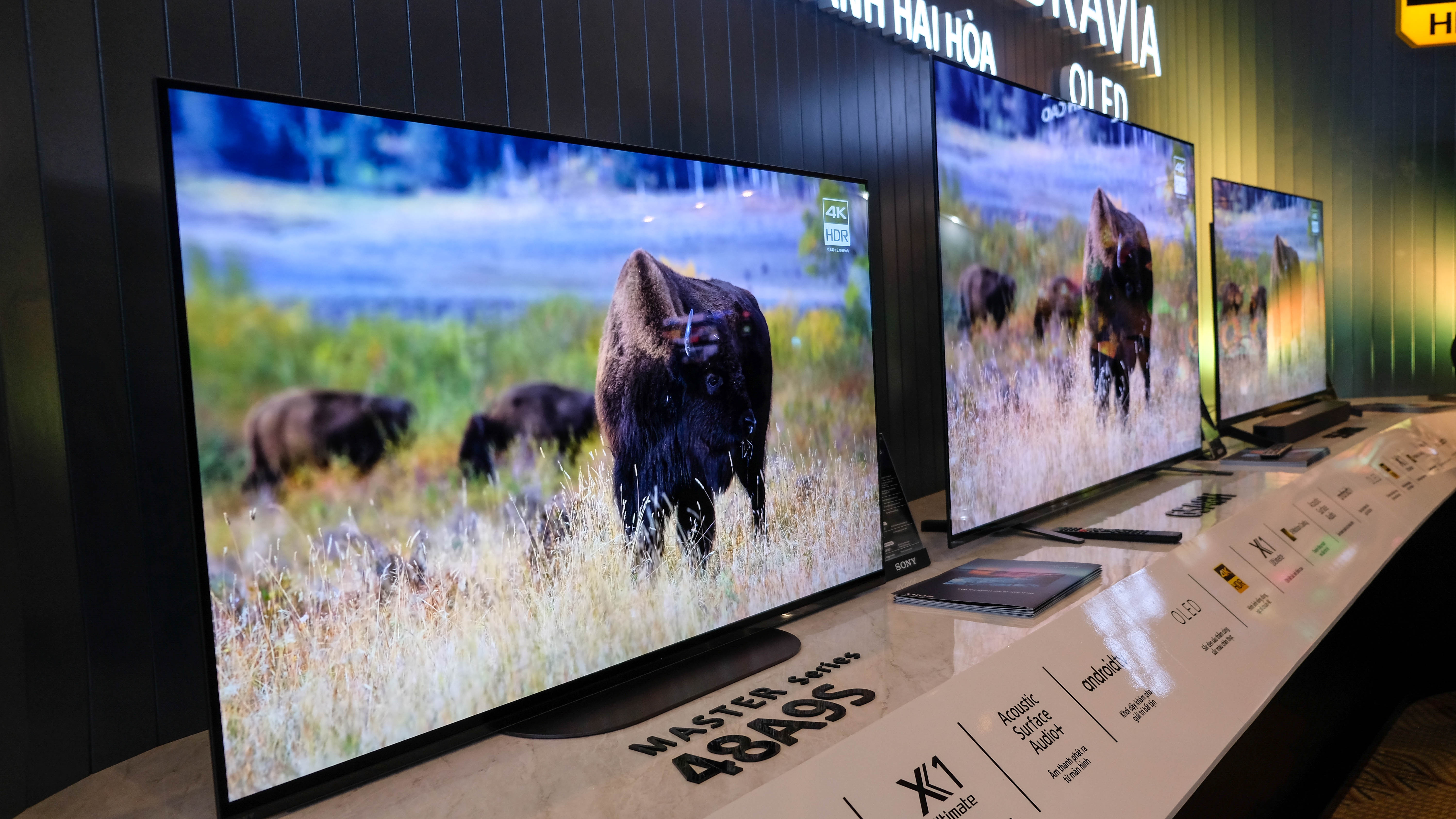 TV Sony QLED 8K cua Sony,  Sony ra mat TV QLED 8K,  TV Sony QLED 8K 263 trieu anh 5