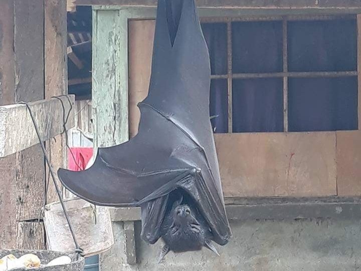 Su that ve buc anh doi khong lo lan truyen tren mang xa hoi hinh anh