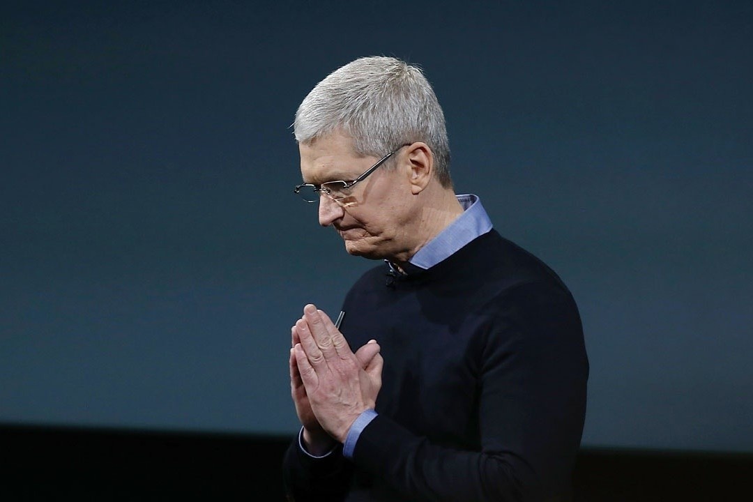 Apple dang ngoi tren dong lua hinh anh