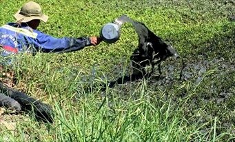 Giet nguoi tham lang bang thuc pham ban co nen ket an? hinh anh