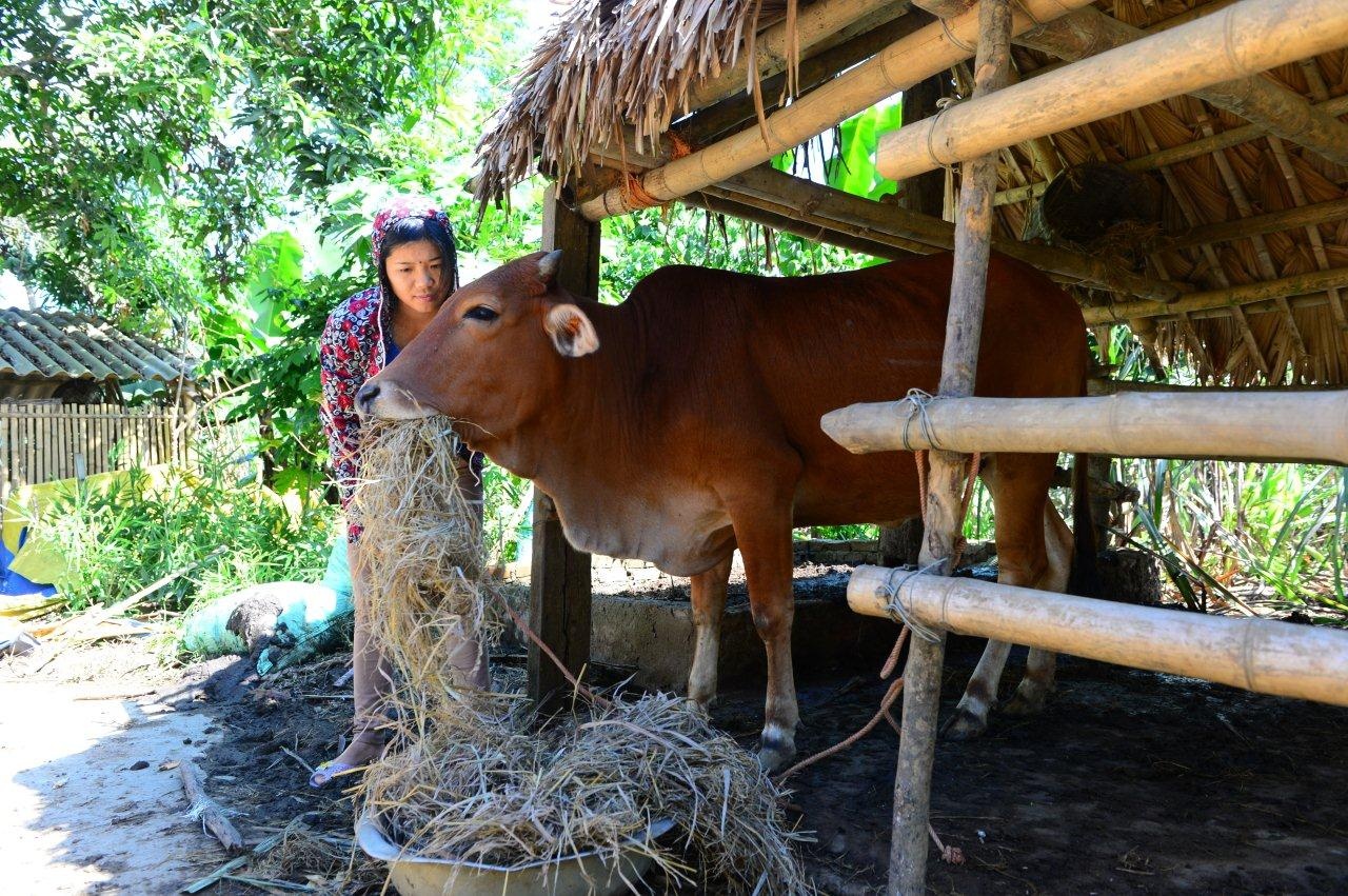 Gieo hy vong thoat ngheo vi phen dau quoc gia hinh anh
